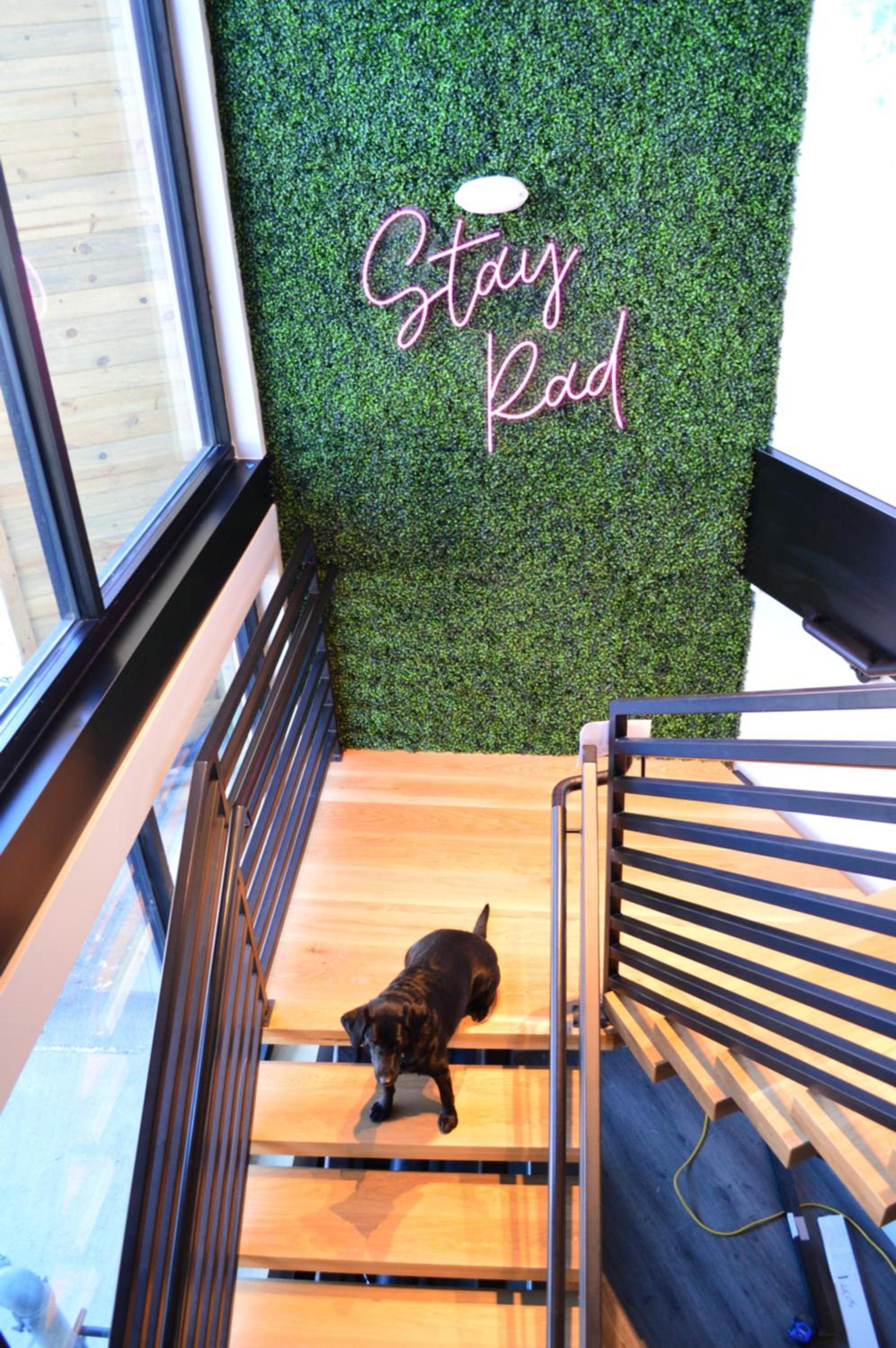 The Block Hotel & Commons photo 8