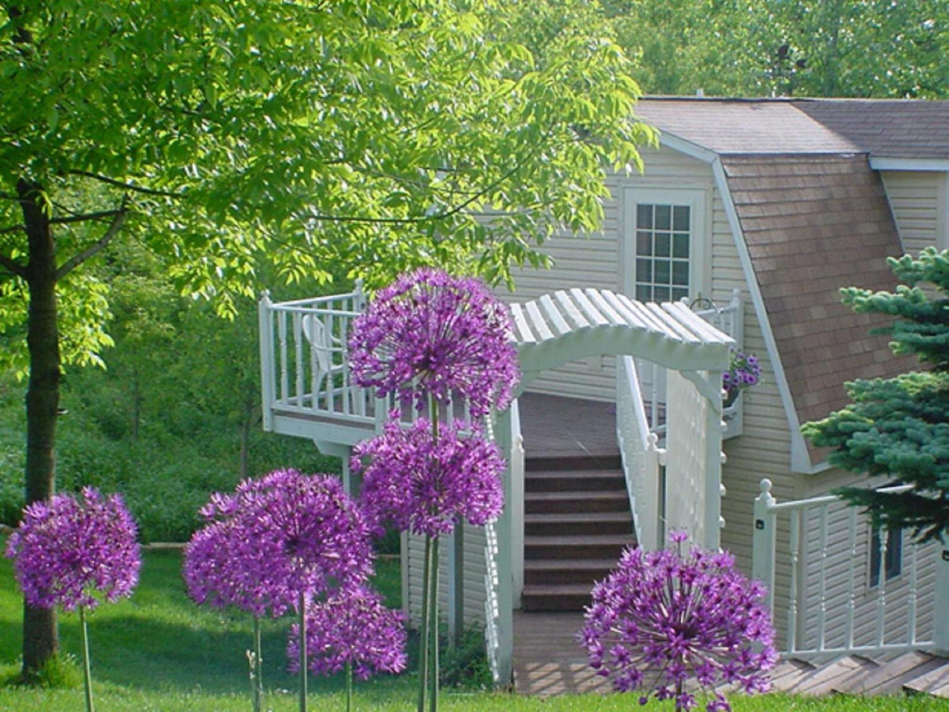Trickling Waters Retreat photo 1