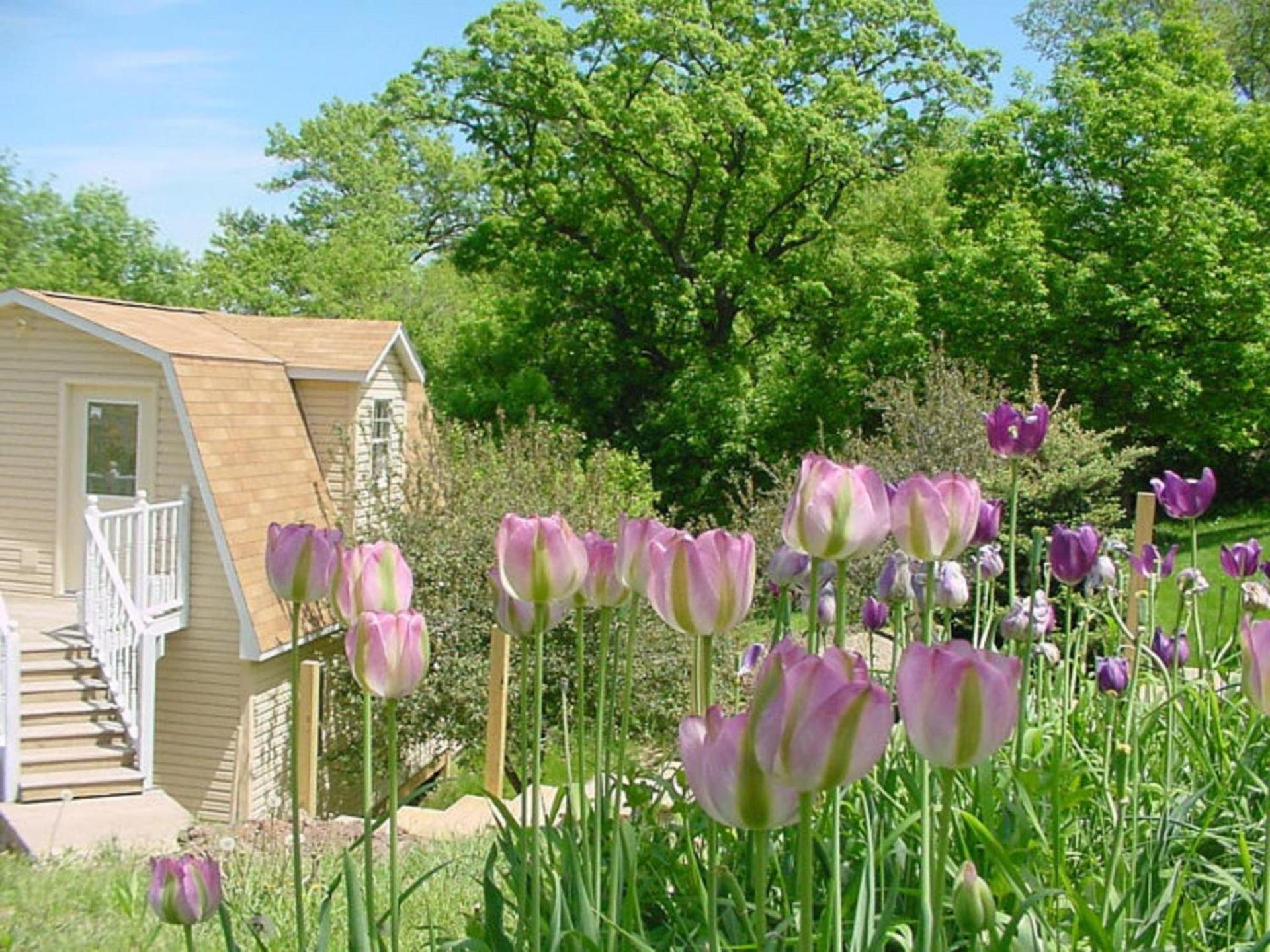 Trickling Waters Retreat photo 24