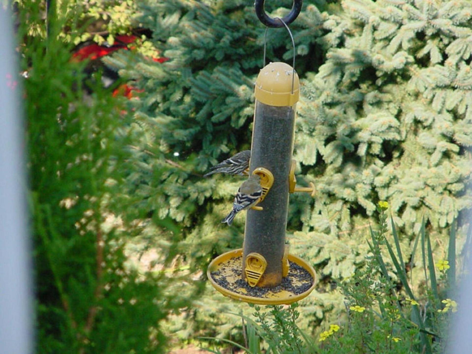 Trickling Waters Retreat photo 27