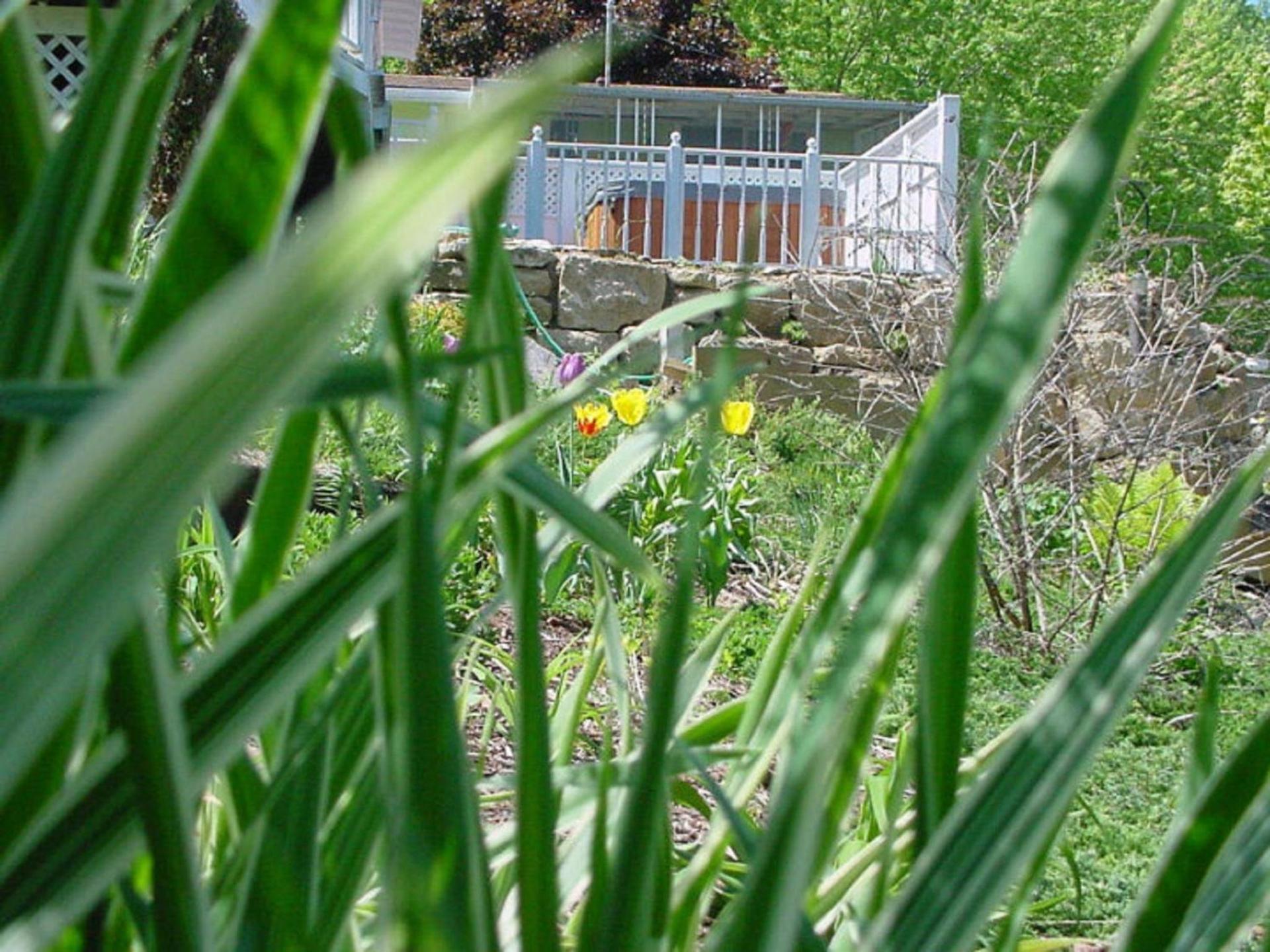 Trickling Waters Retreat photo 32