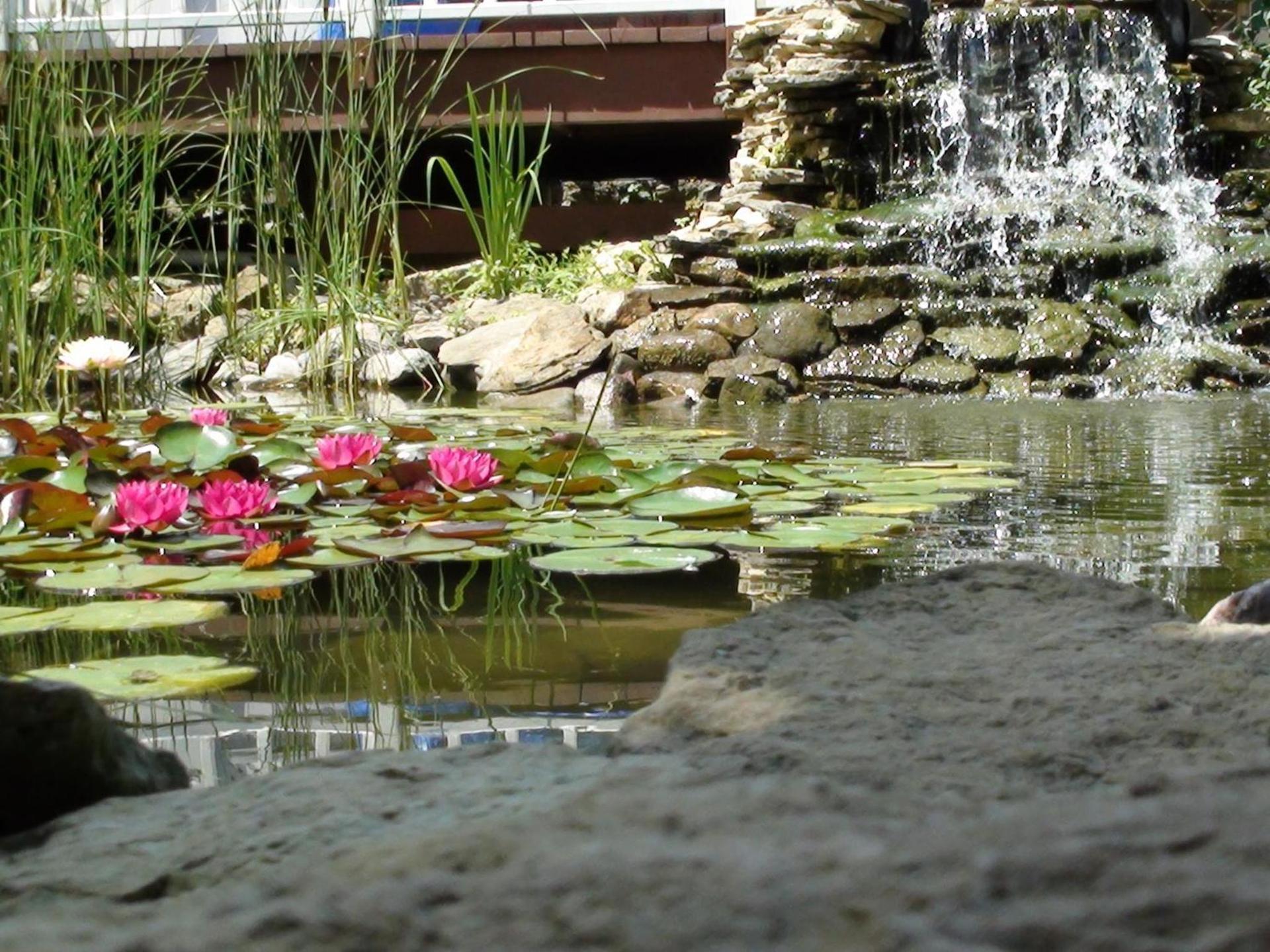 Trickling Waters Retreat photo 60