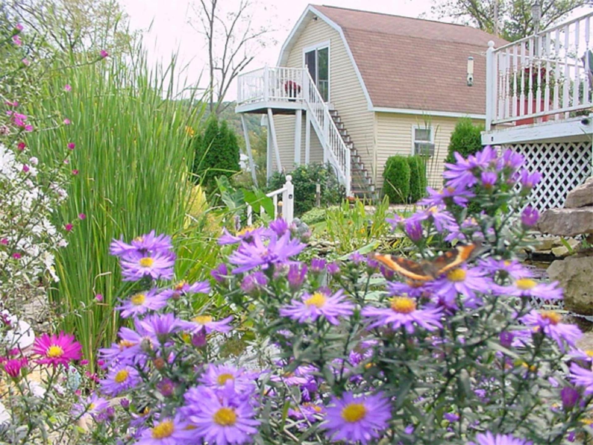 Trickling Waters Retreat photo 29