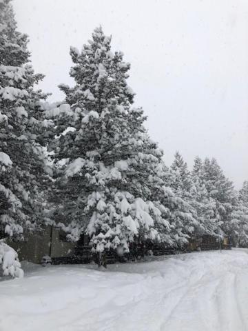 High Country Lodge photo 13