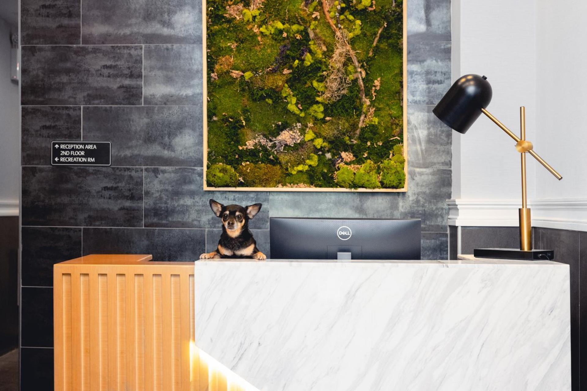 The Modernist Hotel photo 29