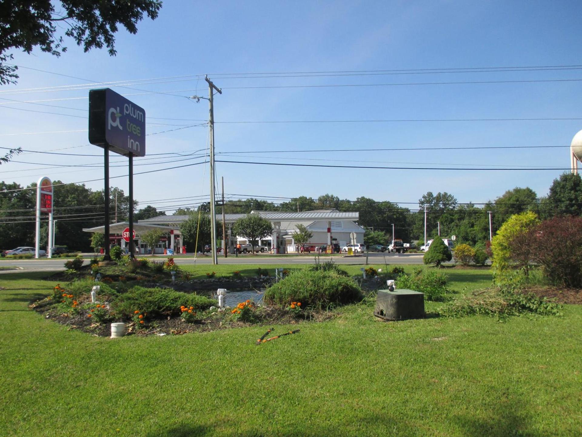 Plum Tree Inn photo 9