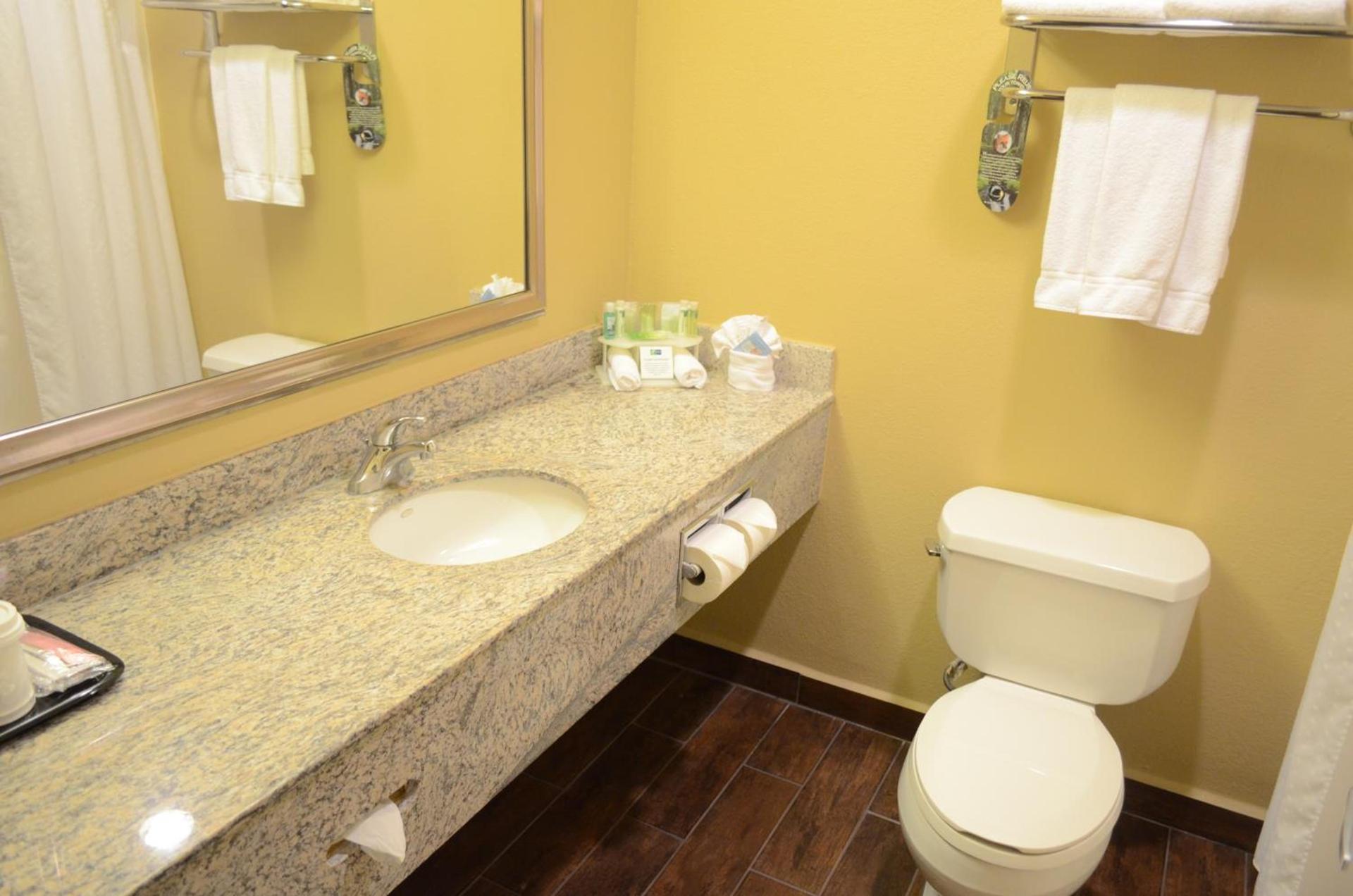 Best Western Premier Houston Downtown/Convention Center Hotel photo 18