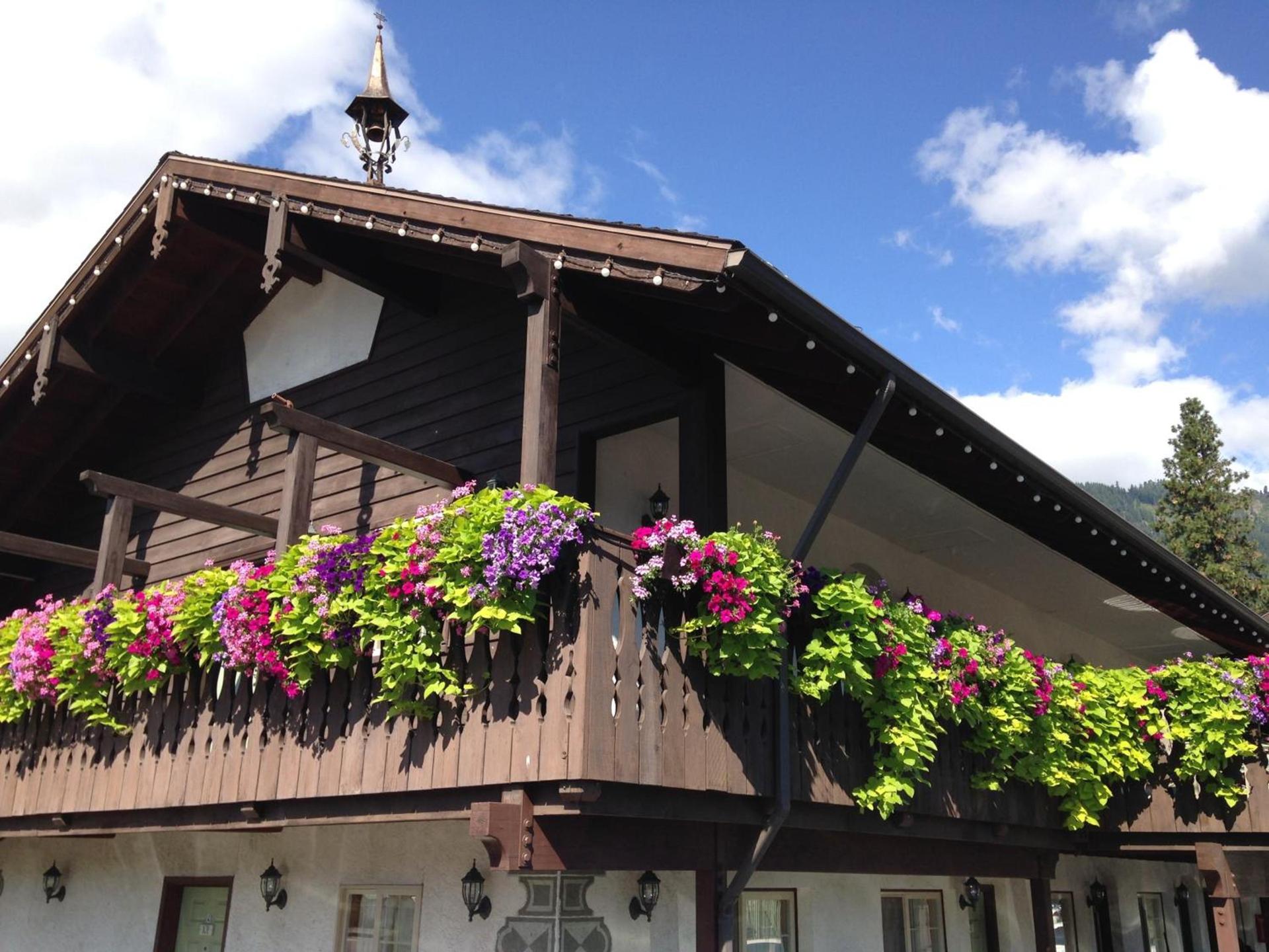Linderhof Inn photo 8