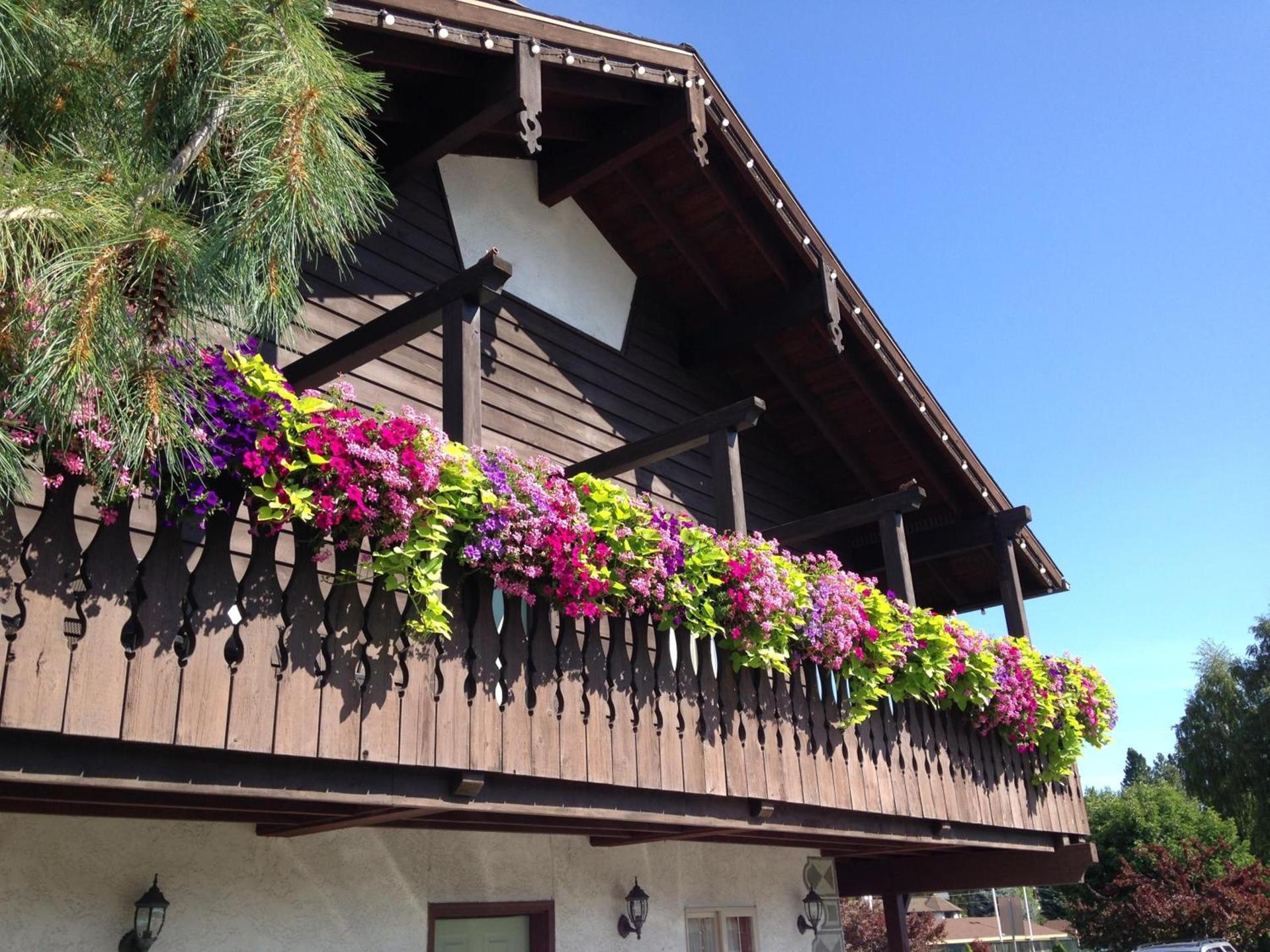 Linderhof Inn photo 7