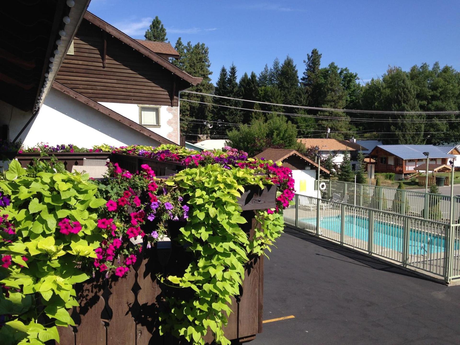 Linderhof Inn photo 5