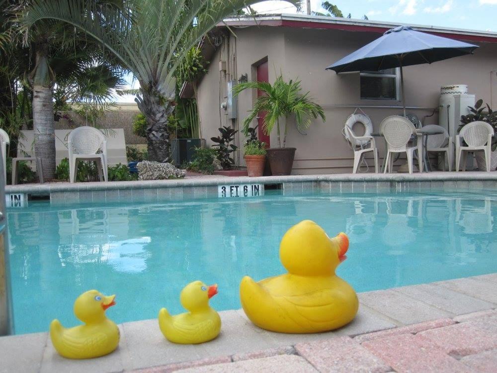INN LEATHER GUEST HOUSE-GAY MALE ONLY photo 40
