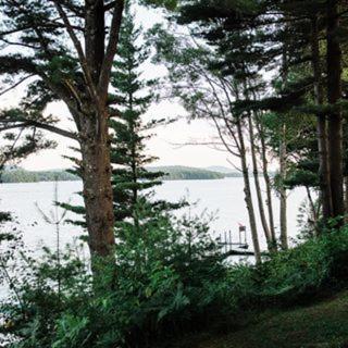 Great Pines photo 28