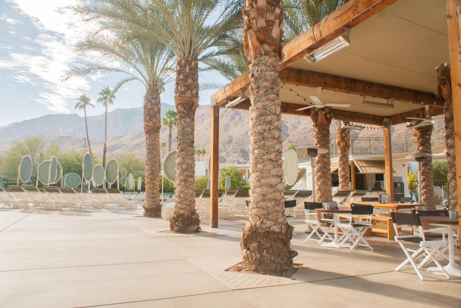 Ace Hotel and Swim Club Palm Springs photo 4