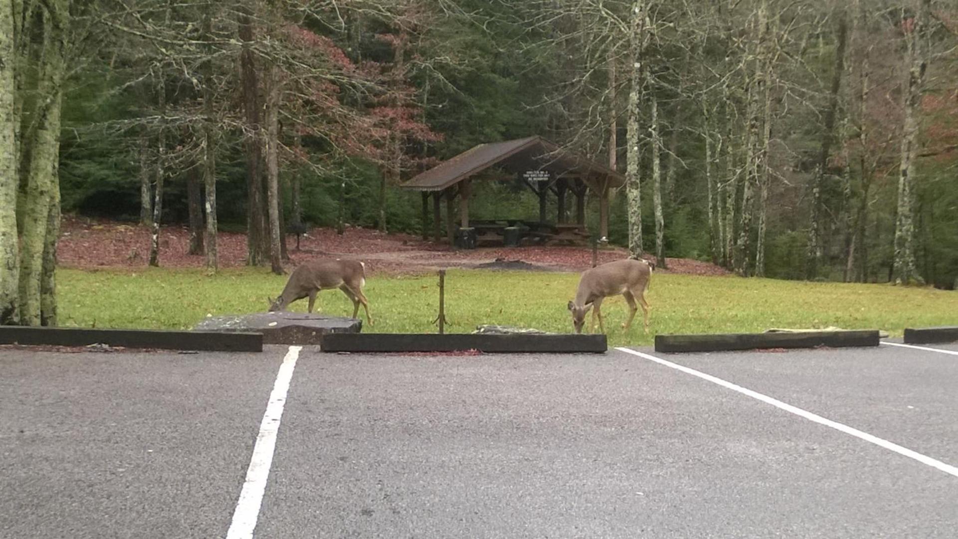 Grandview Experience Lodge photo 32