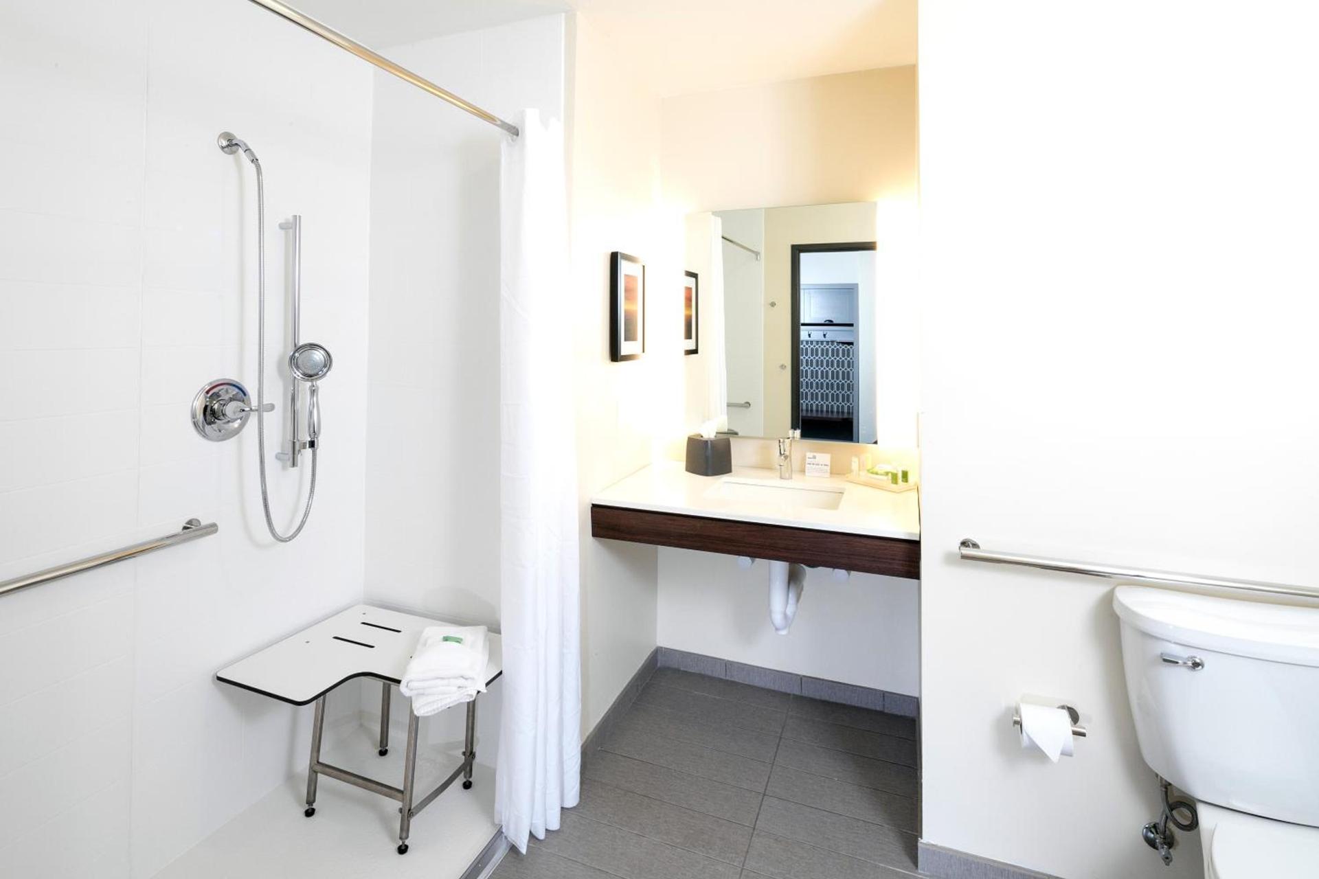 Holiday Inn & Suites Detroit - Troy by IHG photo 43