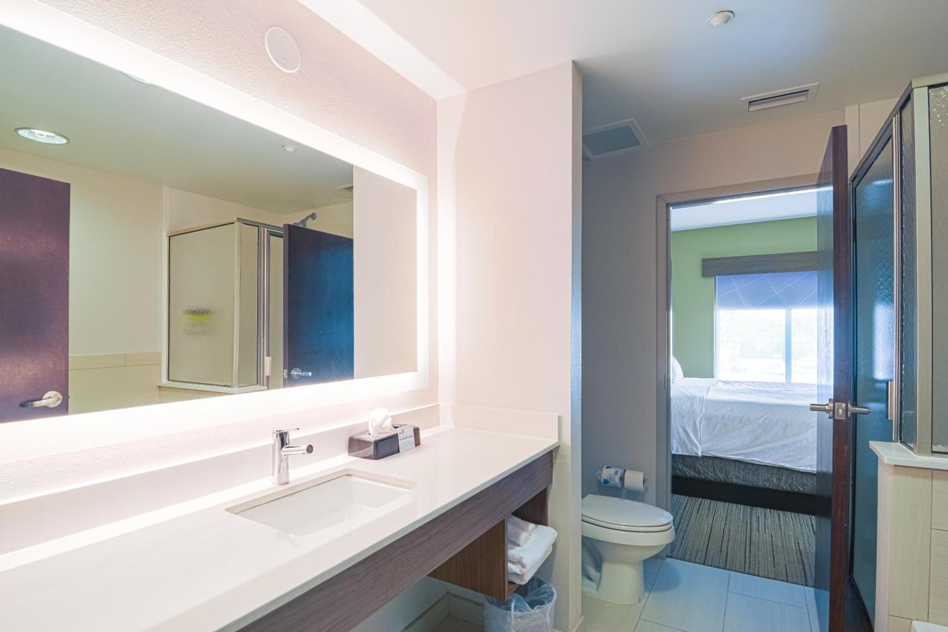 Holiday Inn Express Hotel & Suites Tampa-USF-Busch Gardens by IHG photo 11