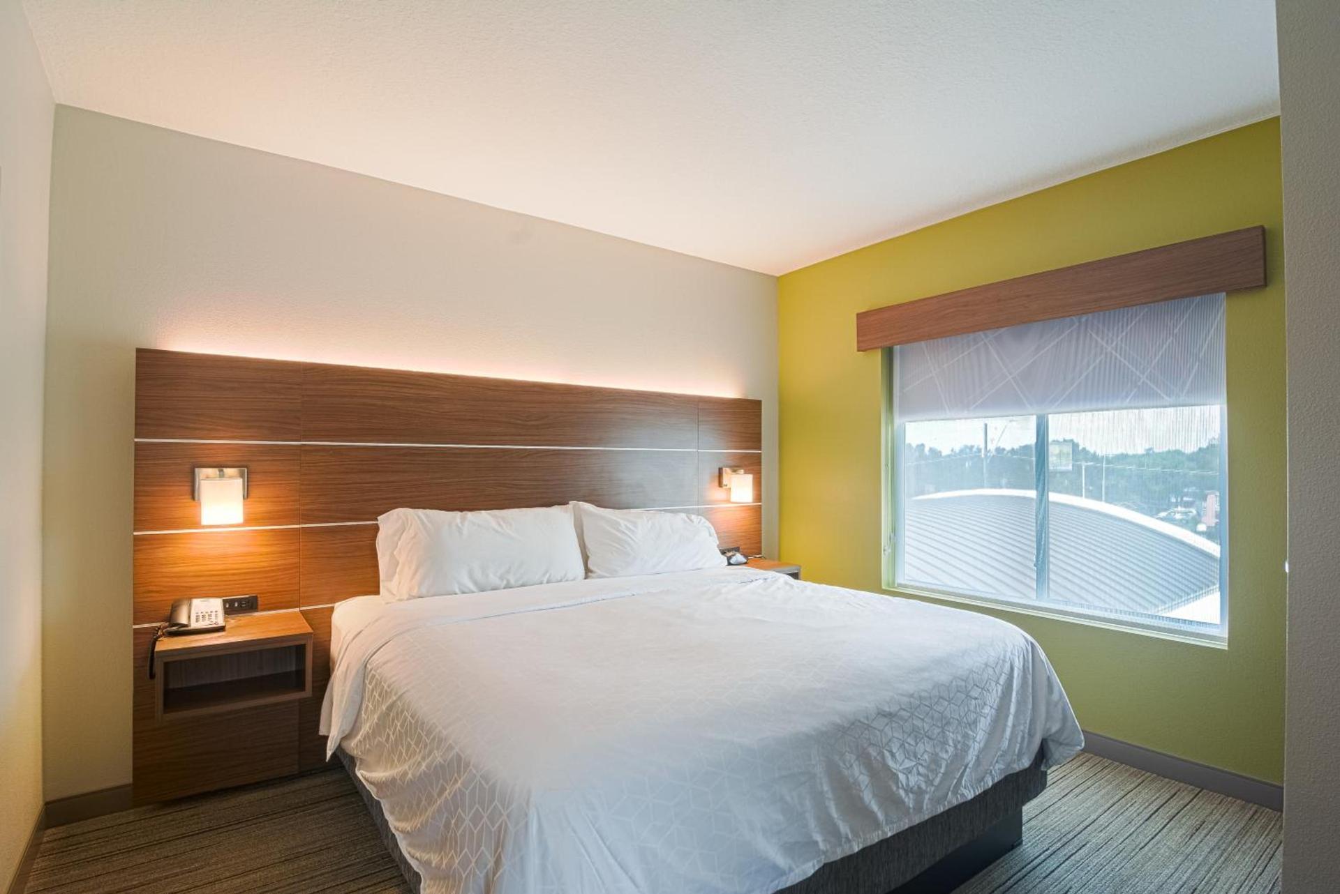 Holiday Inn Express Hotel & Suites Tampa-USF-Busch Gardens by IHG photo 12