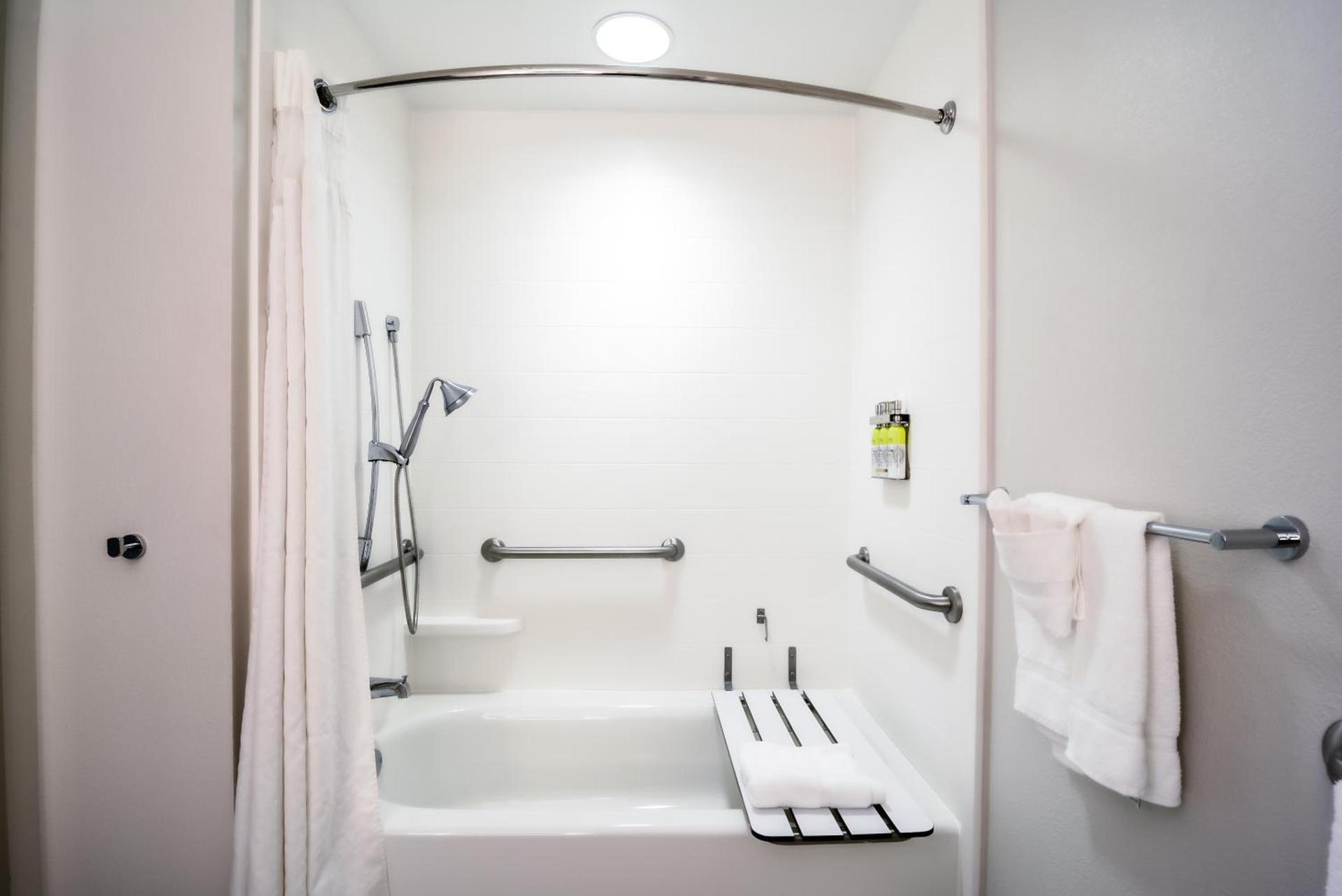 Holiday Inn Express Hotel & Suites Tampa-USF-Busch Gardens by IHG photo 13