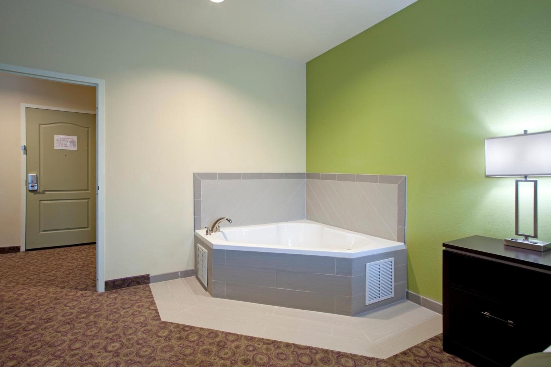Holiday Inn Express Hotel & Suites Clemson - University Area by IHG photo 4