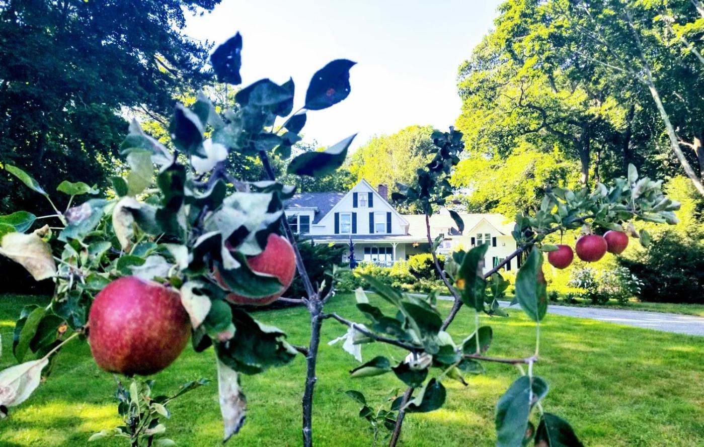 Timbercliffe Cottage Inn photo 12