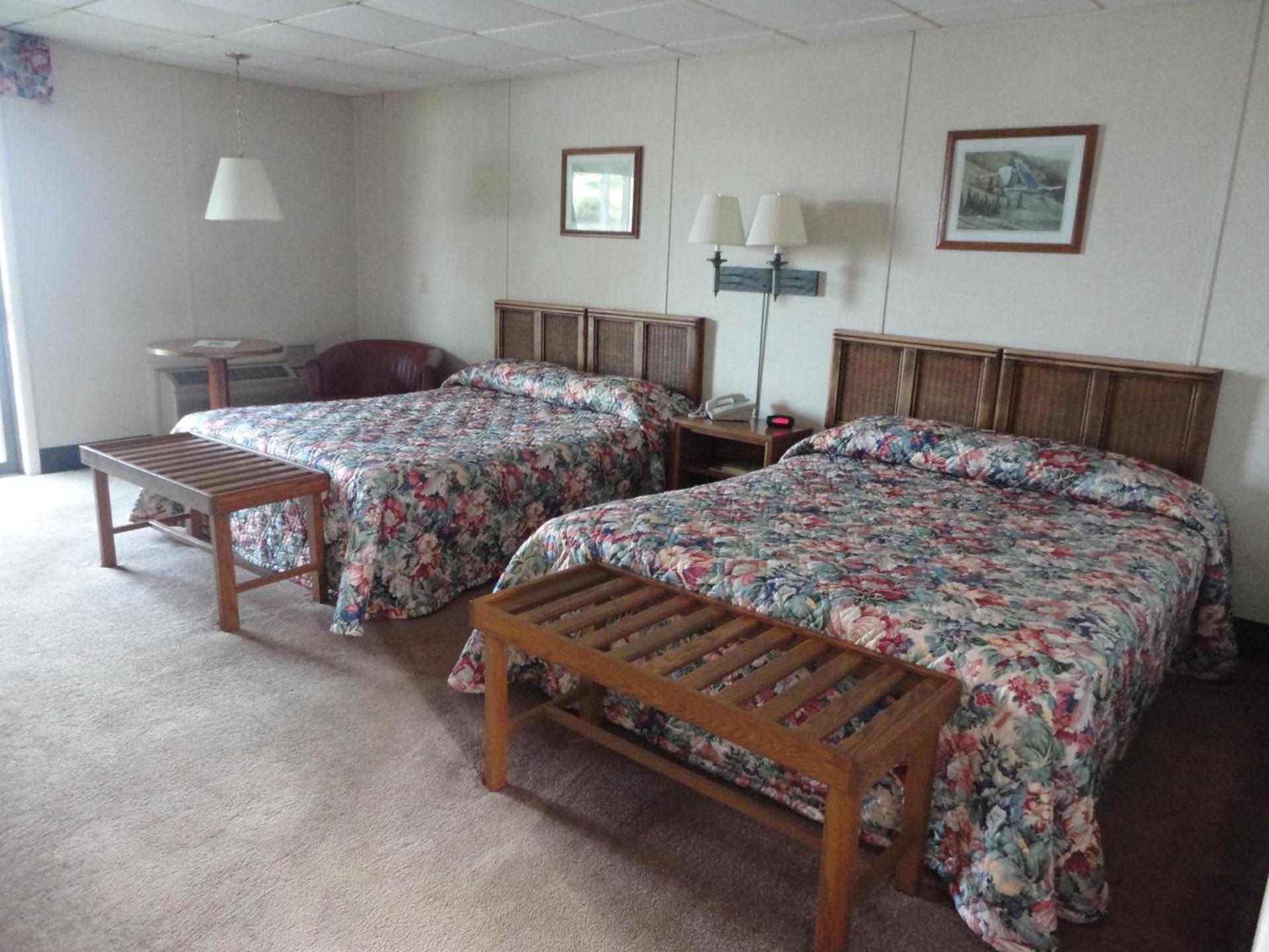 Island Resort photo 8