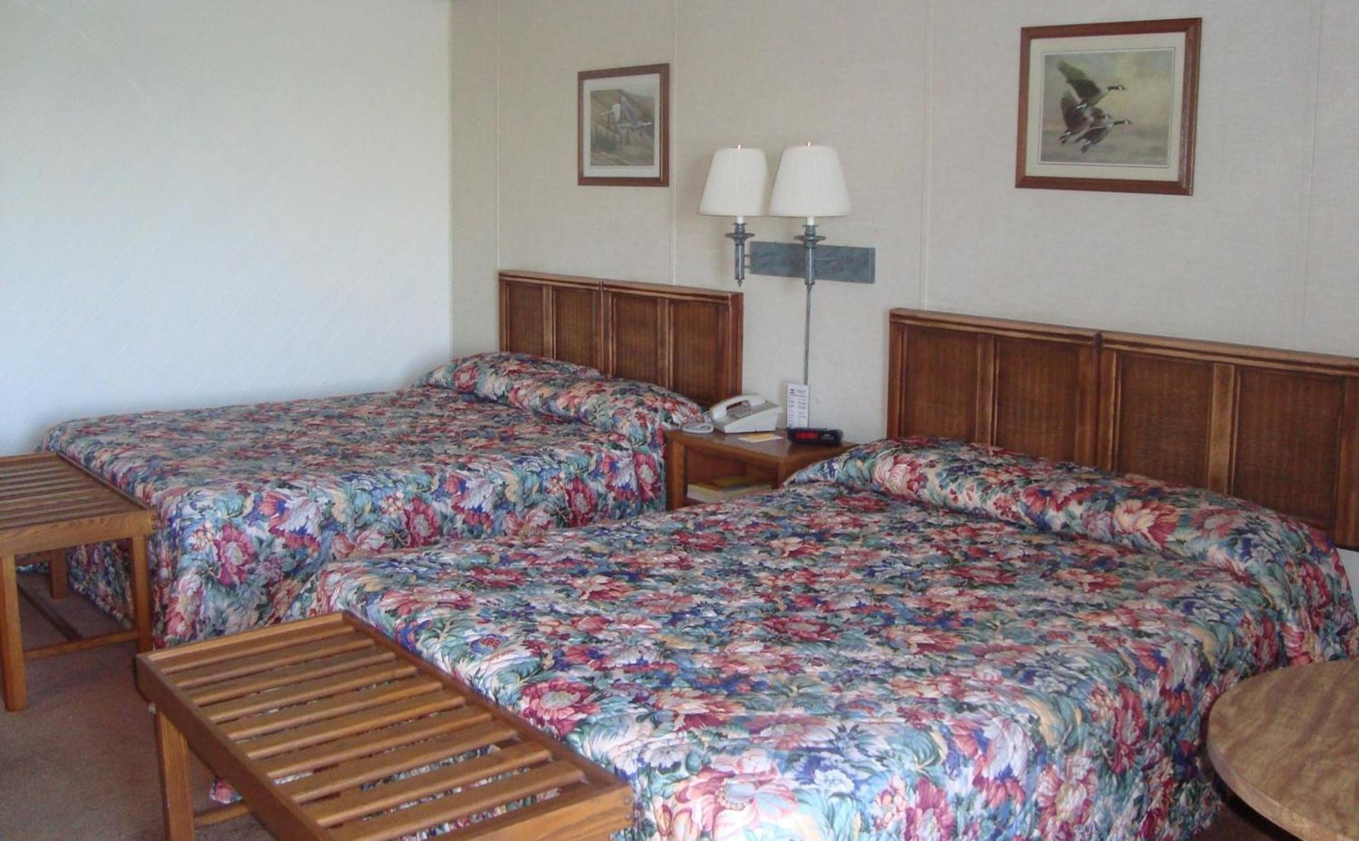 Island Resort photo 25