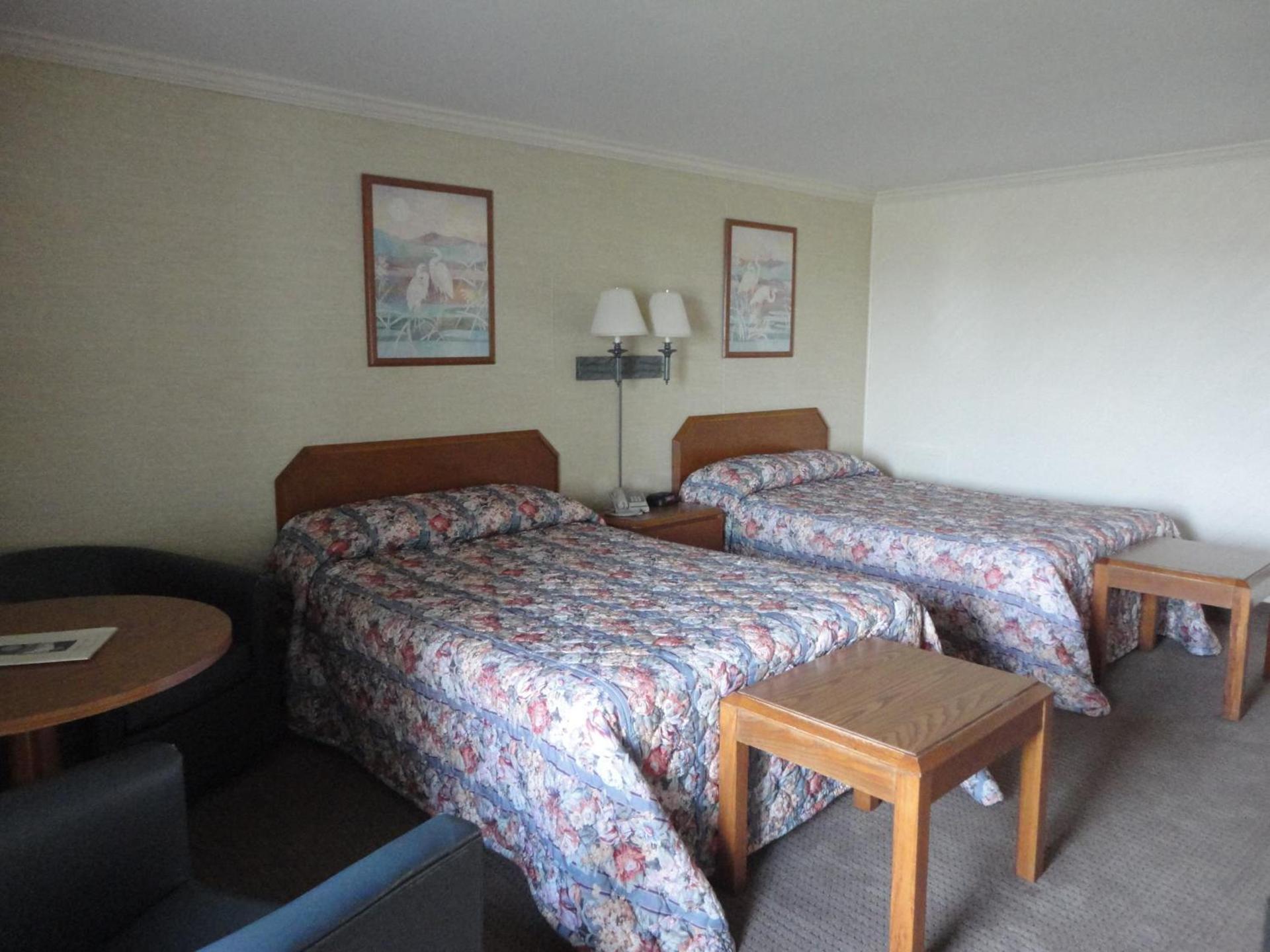 Island Resort photo 9