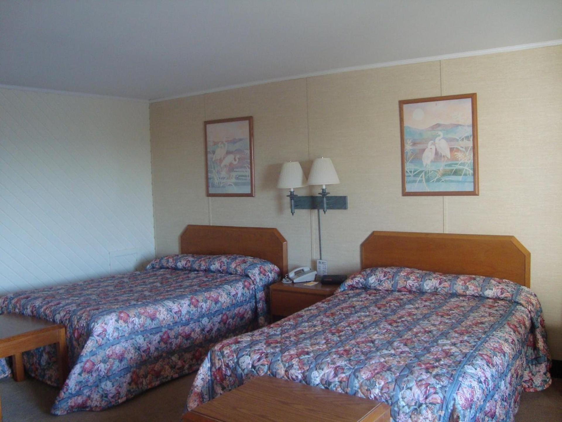 Island Resort photo 11