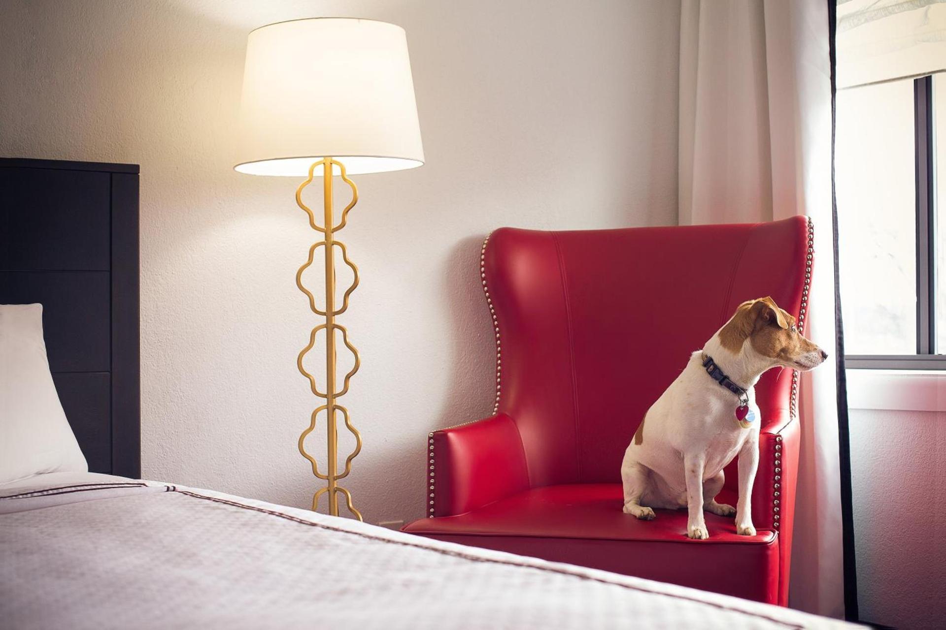 Capitol Hill Hotel photo 8