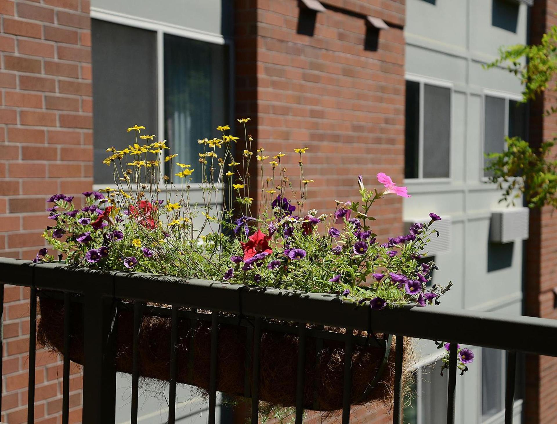 The Madison Inn photo 9