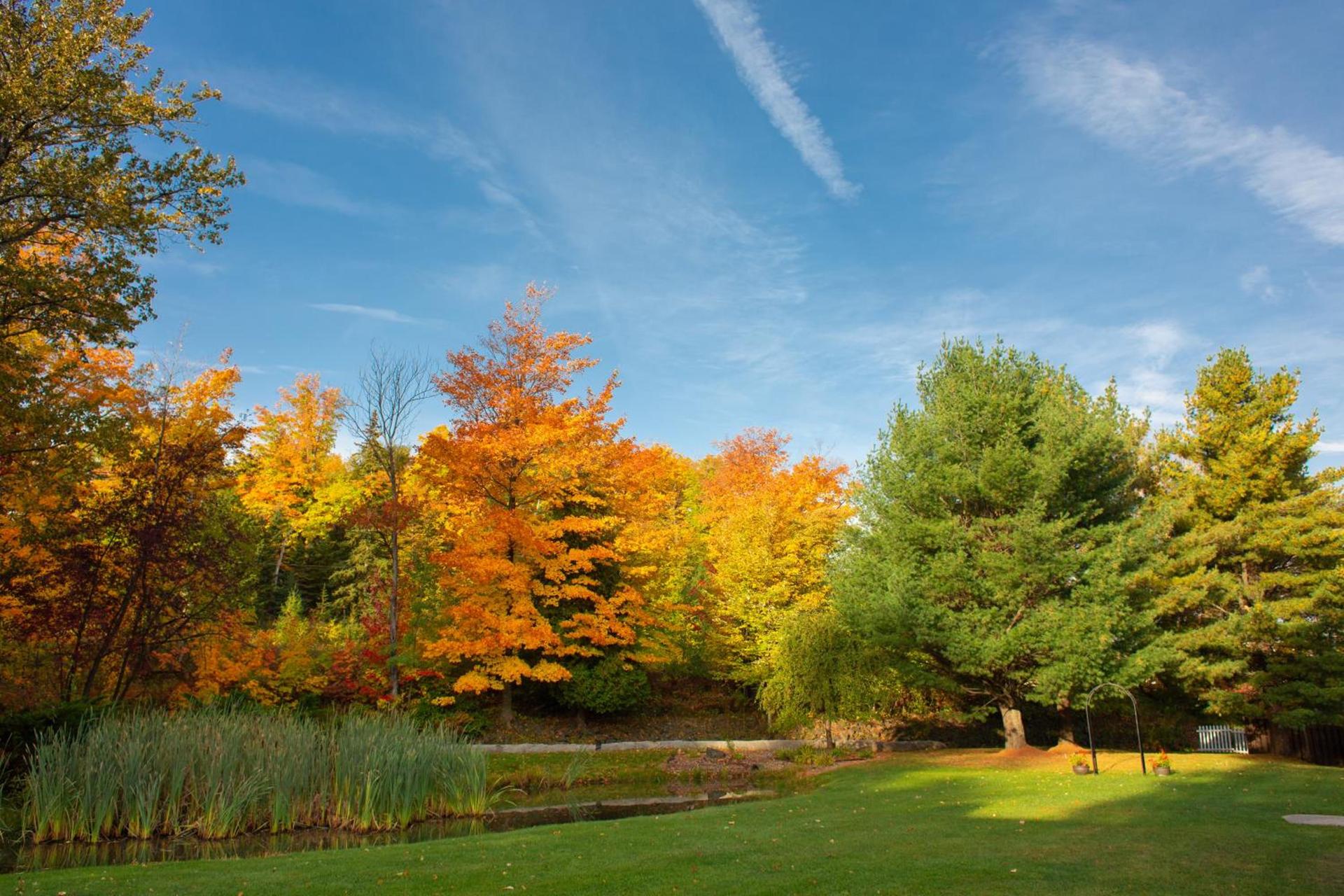Holiday Inn Marquette by IHG photo 15