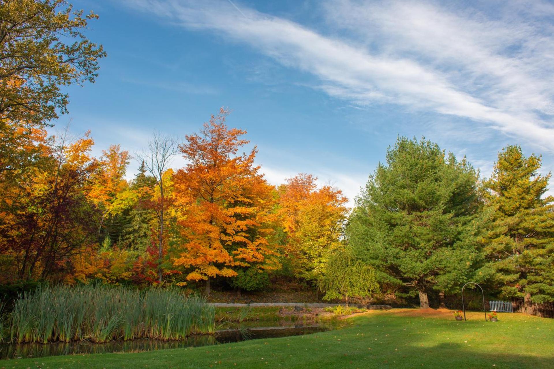 Holiday Inn Marquette by IHG photo 13