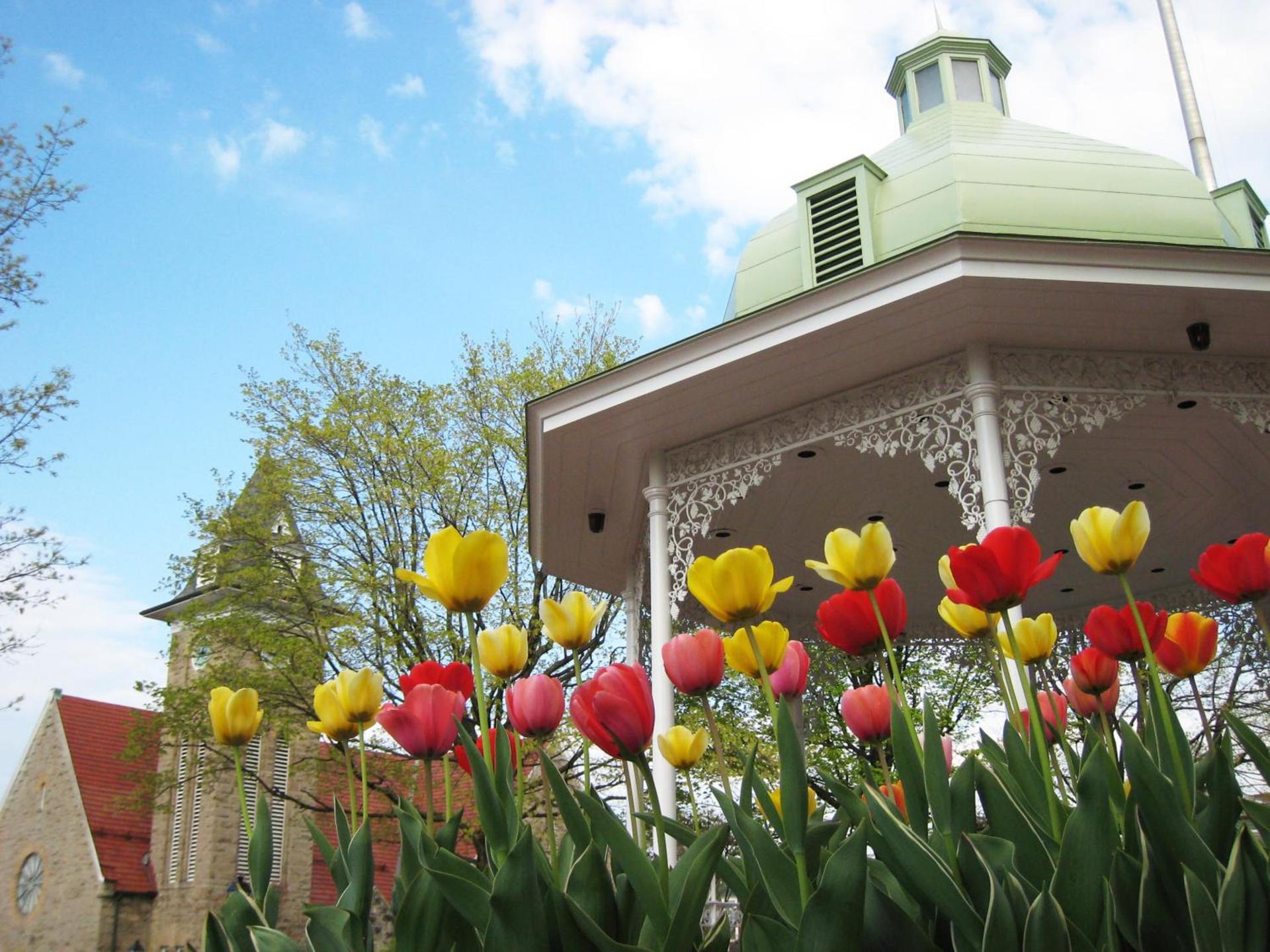 Ramada by Wyndham Ligonier photo 37