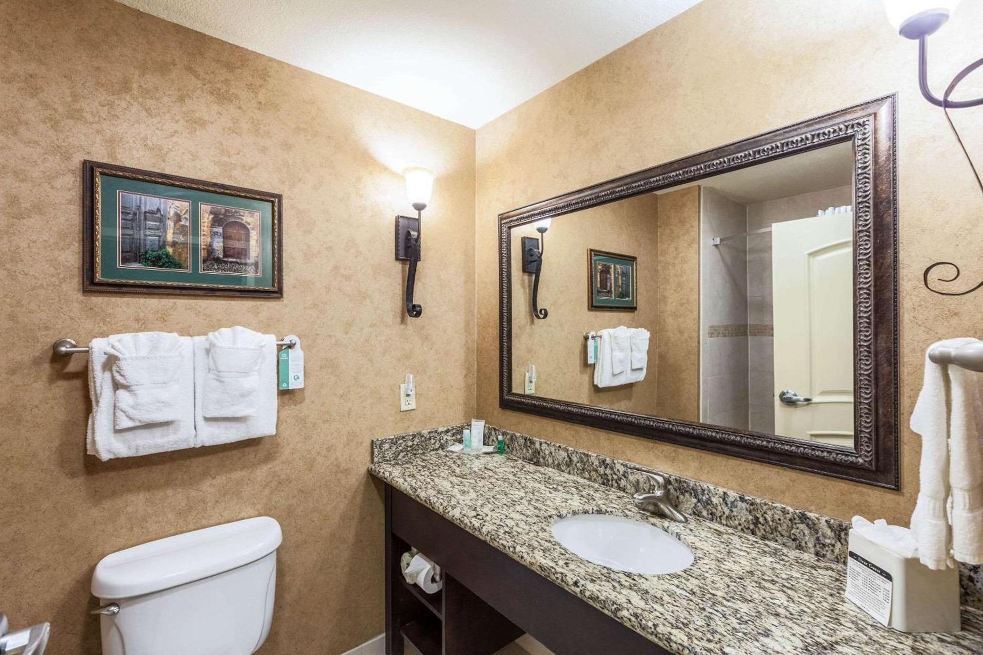 Comfort Suites Alamo-River walk photo 4