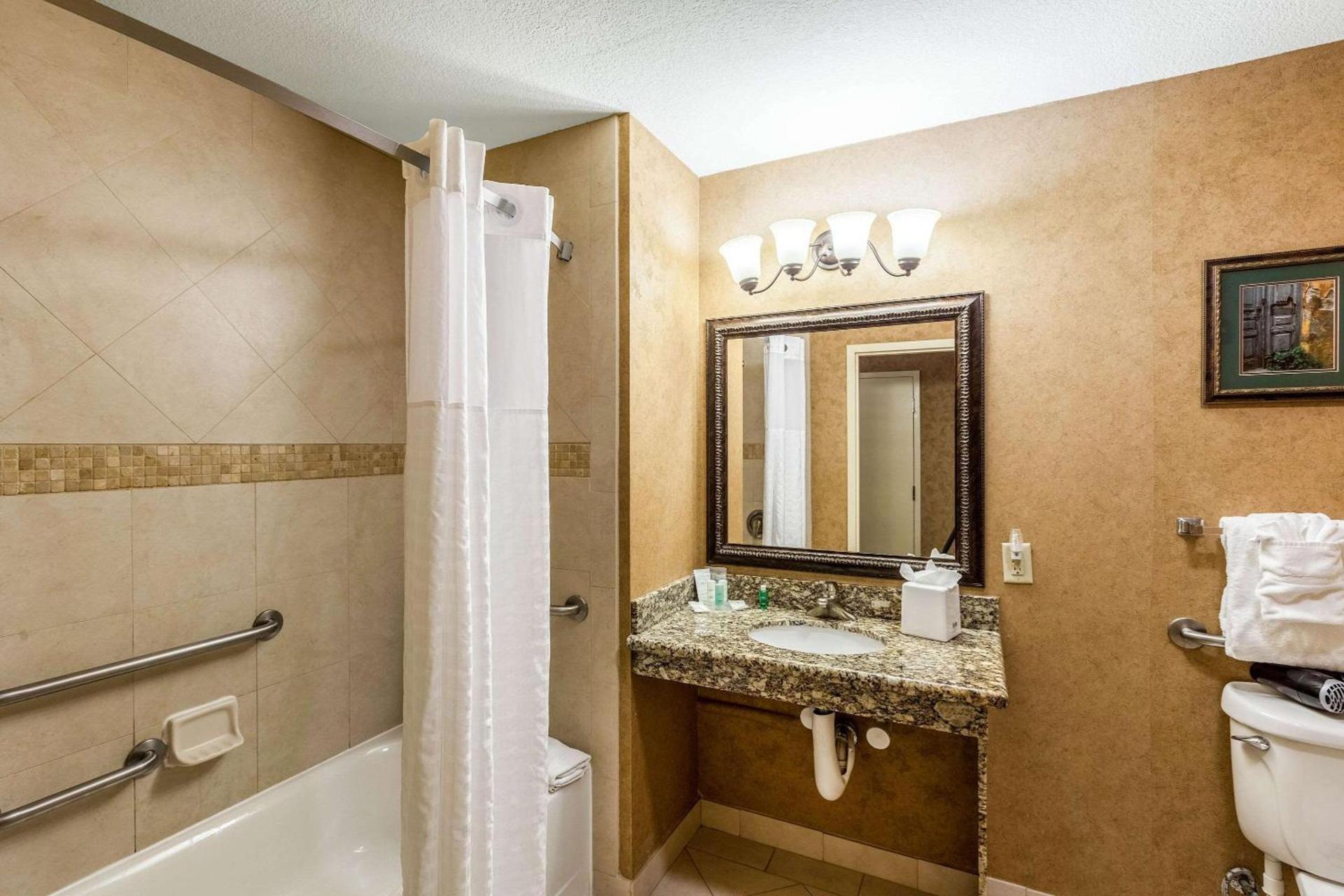 Comfort Suites Alamo-River walk photo 5