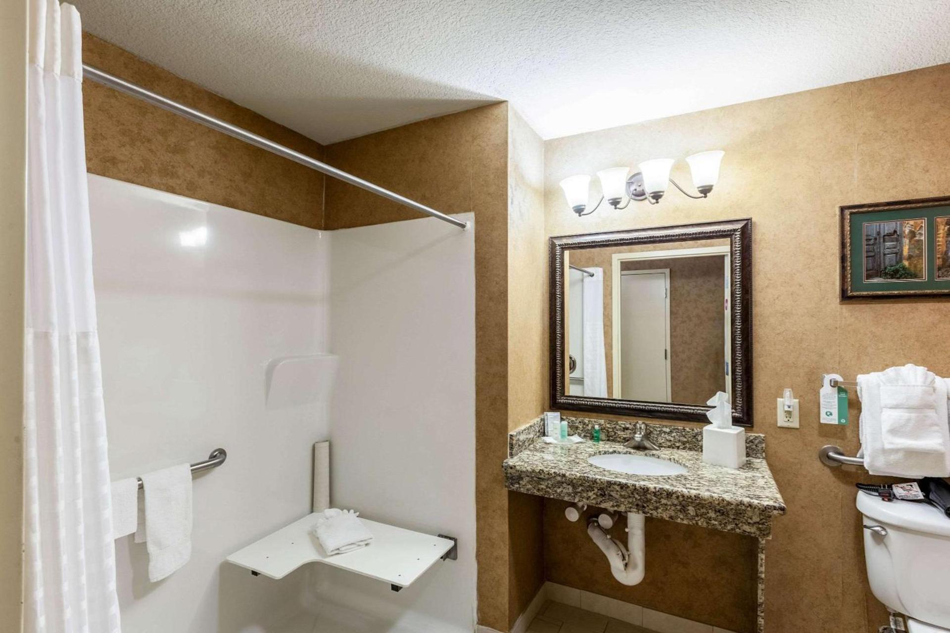 Comfort Suites Alamo-River walk photo 6