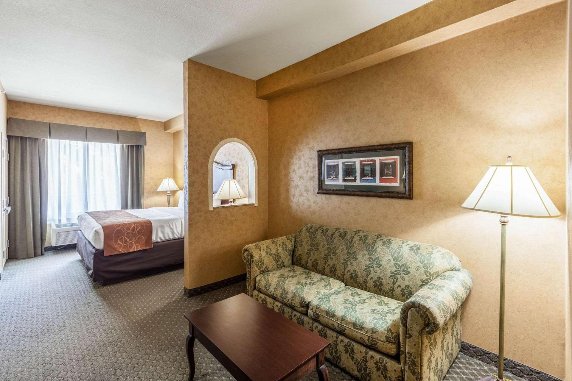 Comfort Suites Alamo-River walk photo 12