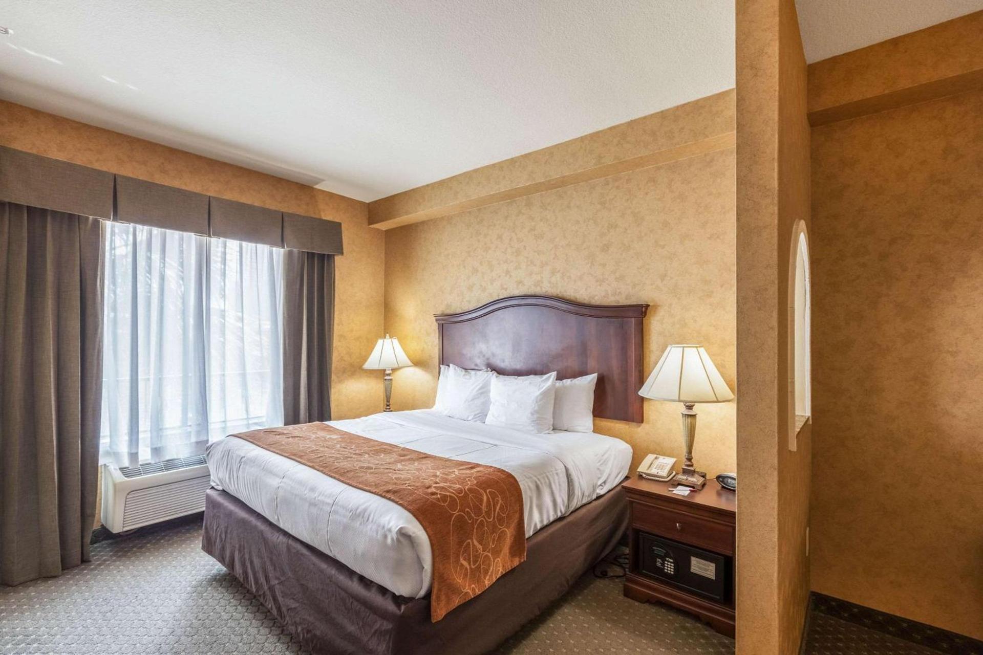 Comfort Suites Alamo-River walk photo 13