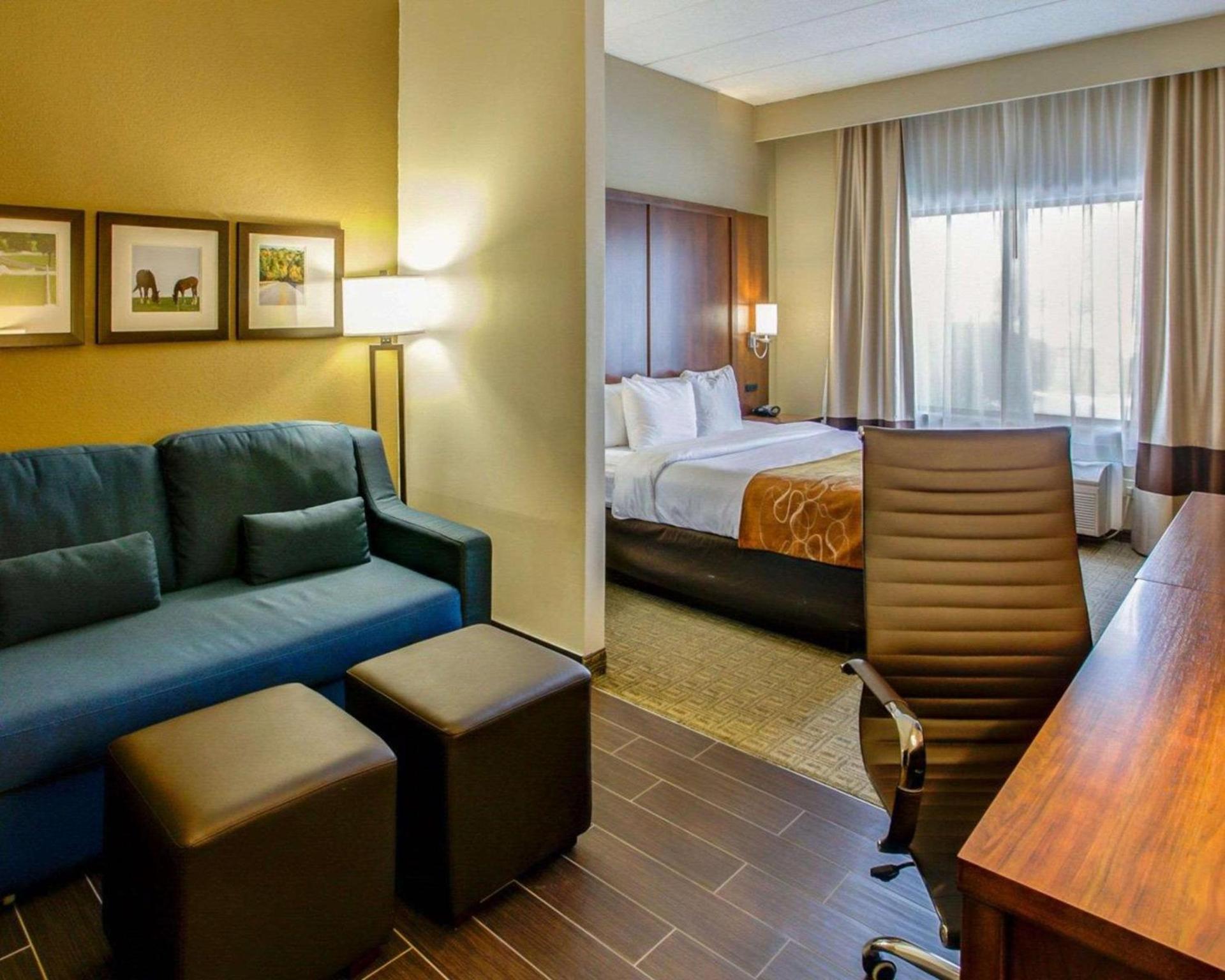 Comfort Suites Georgetown photo 23