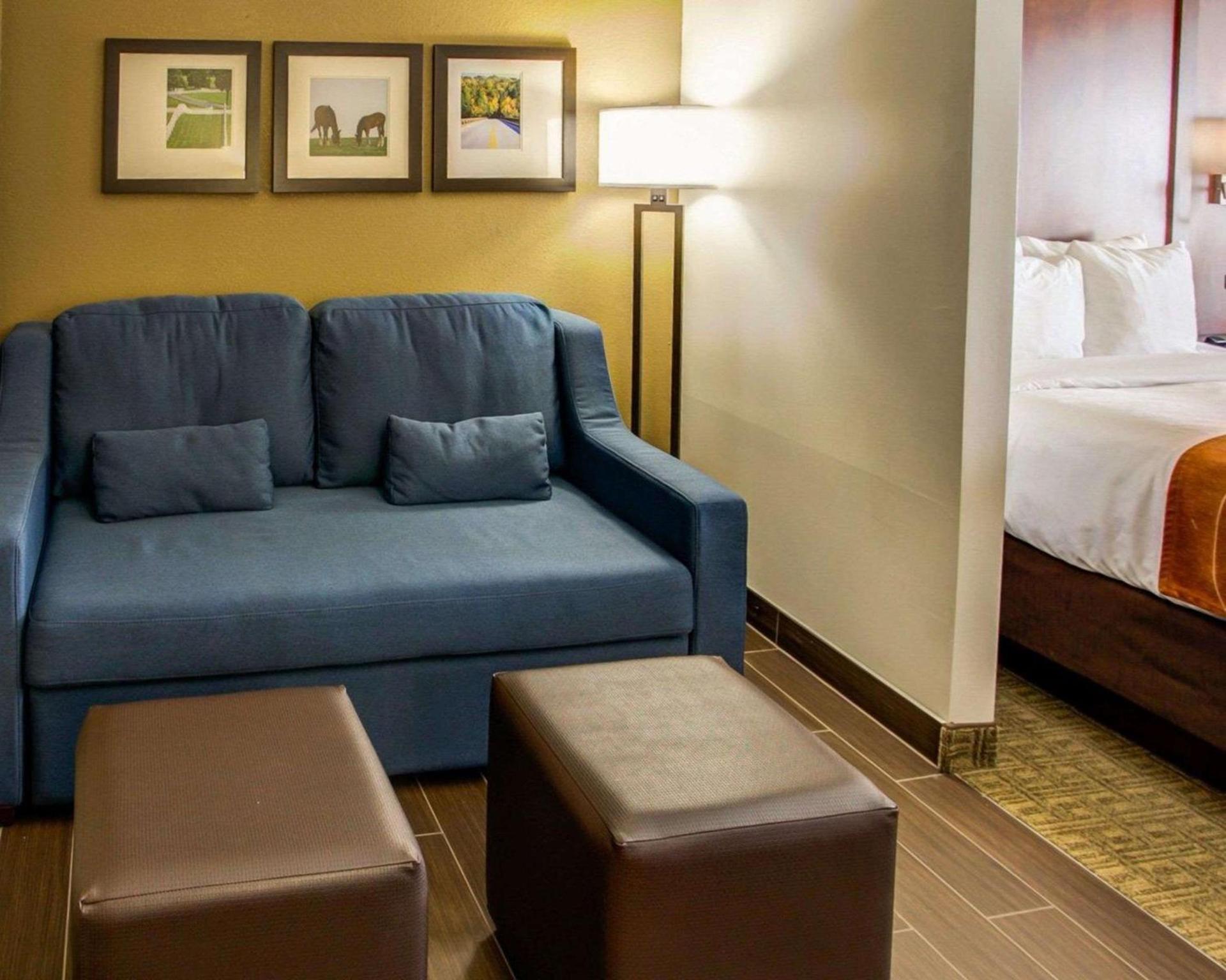 Comfort Suites Georgetown photo 27