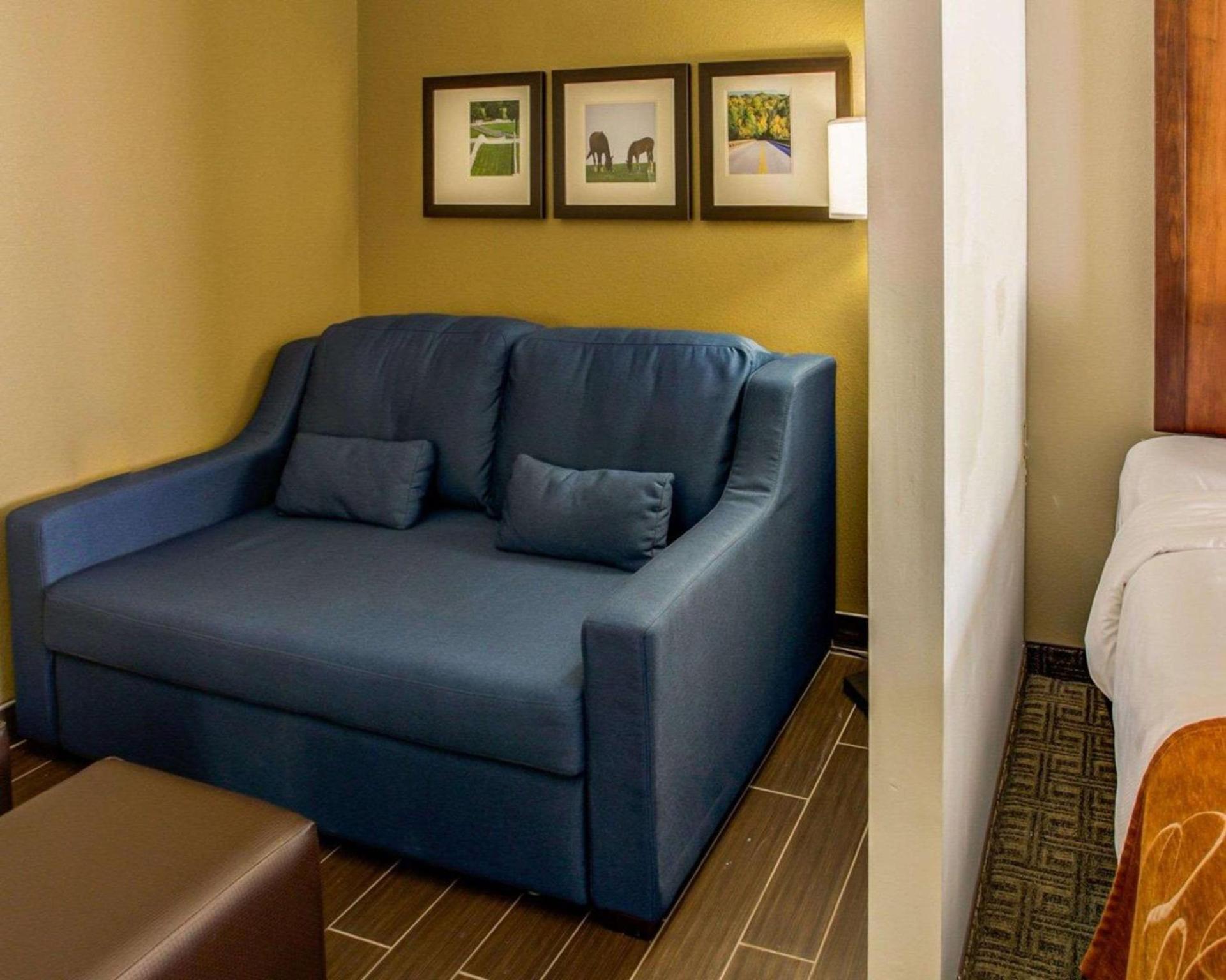Comfort Suites Georgetown photo 28