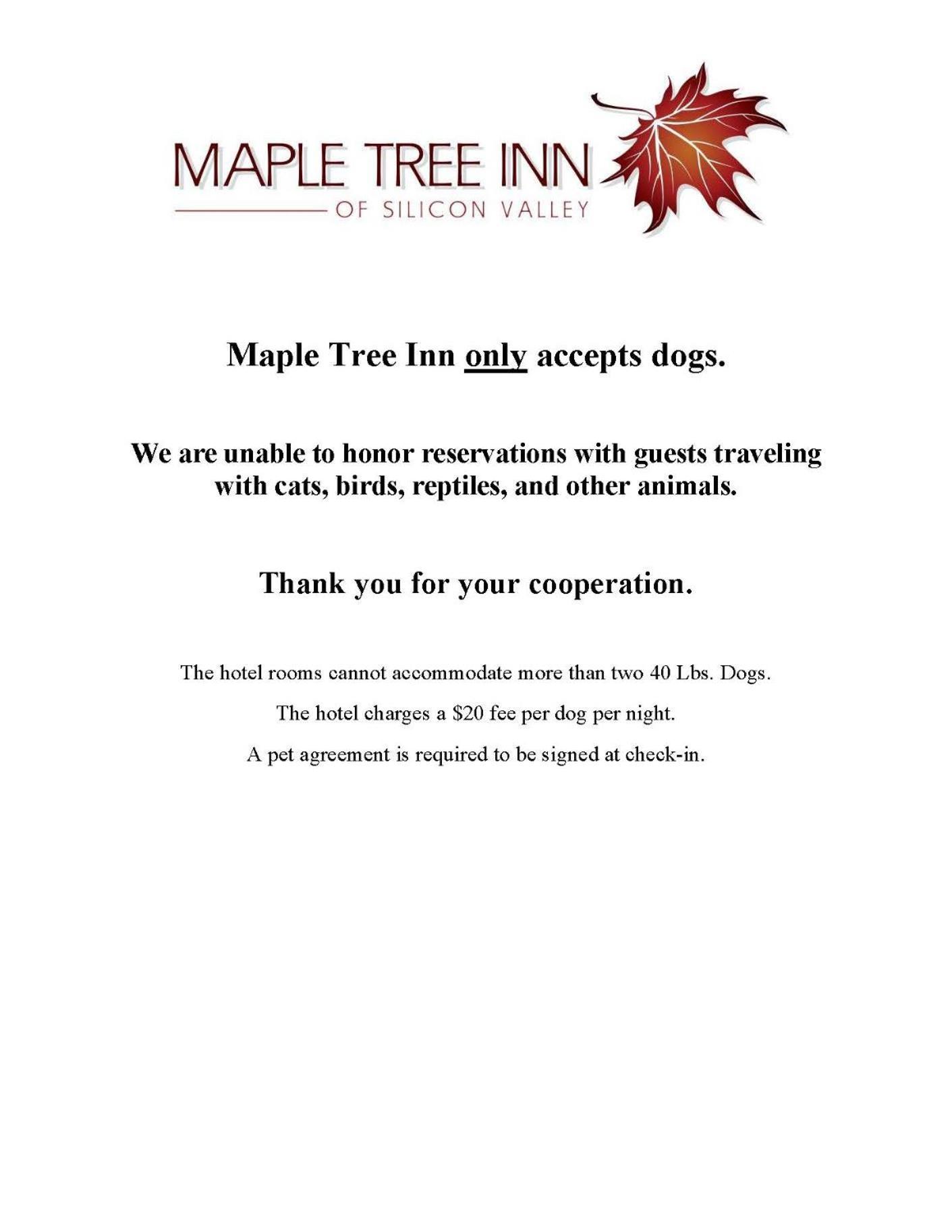 Maple Tree Inn photo 63
