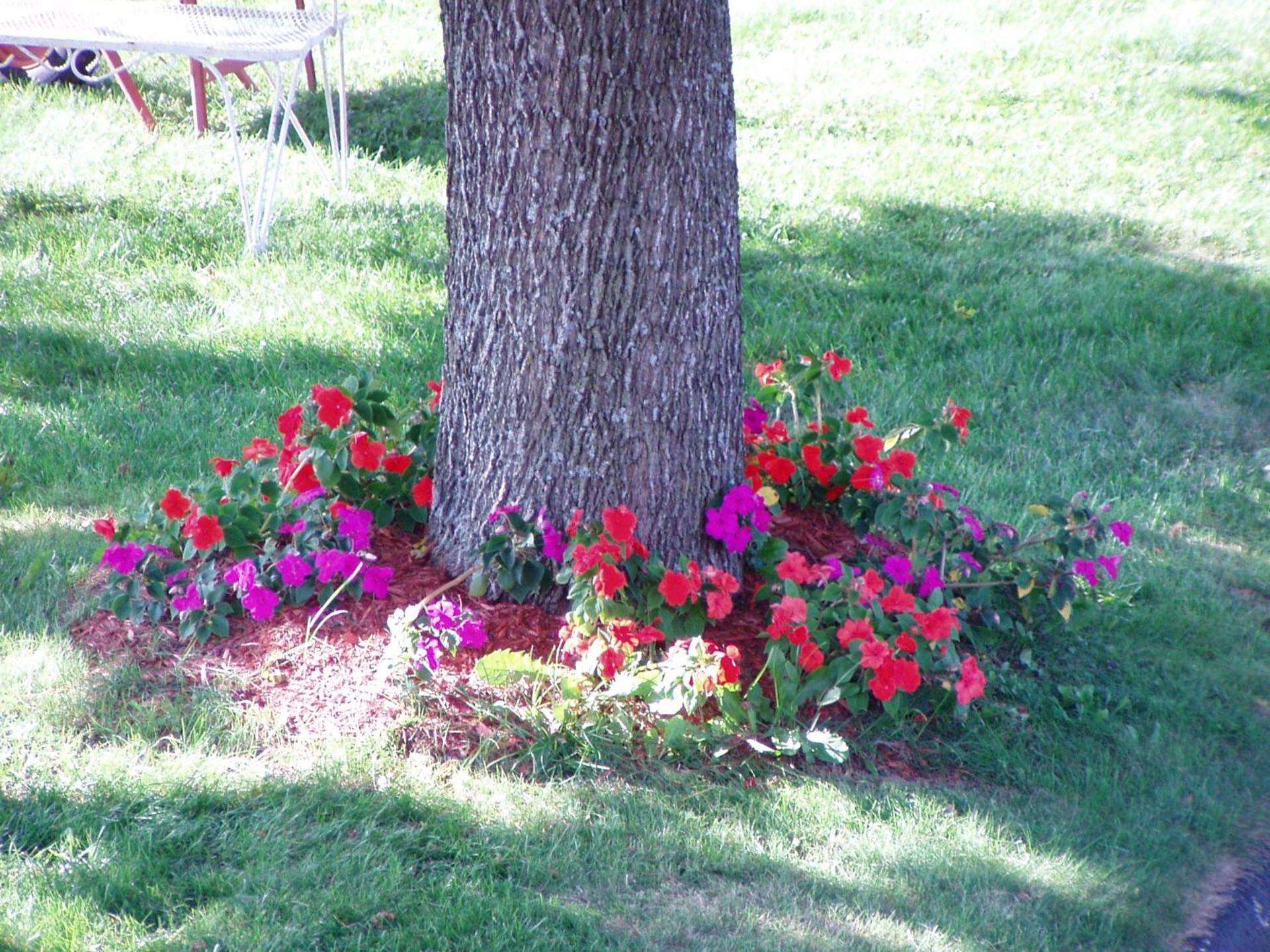 Sunset Inn photo 4