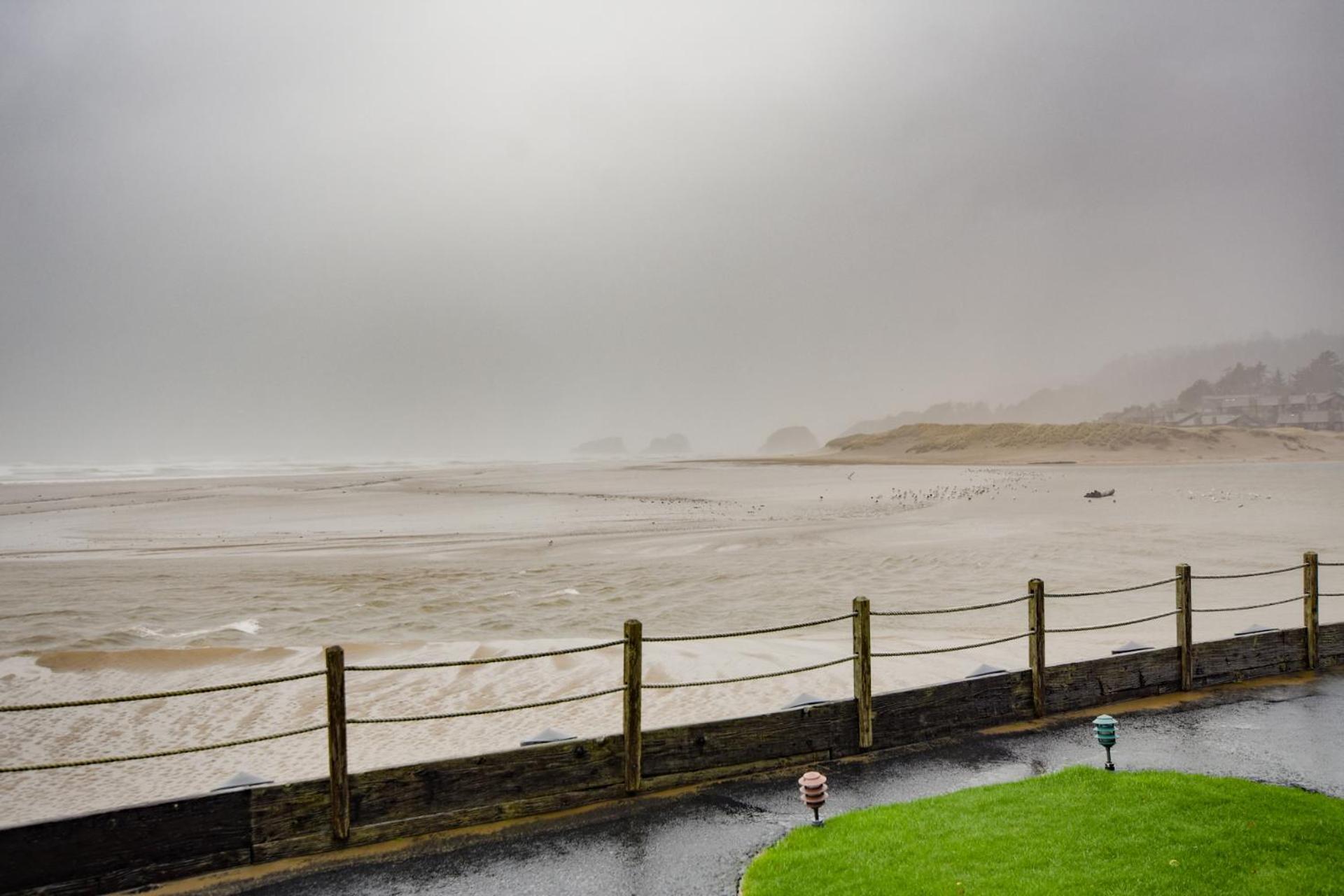 The Waves photo 48