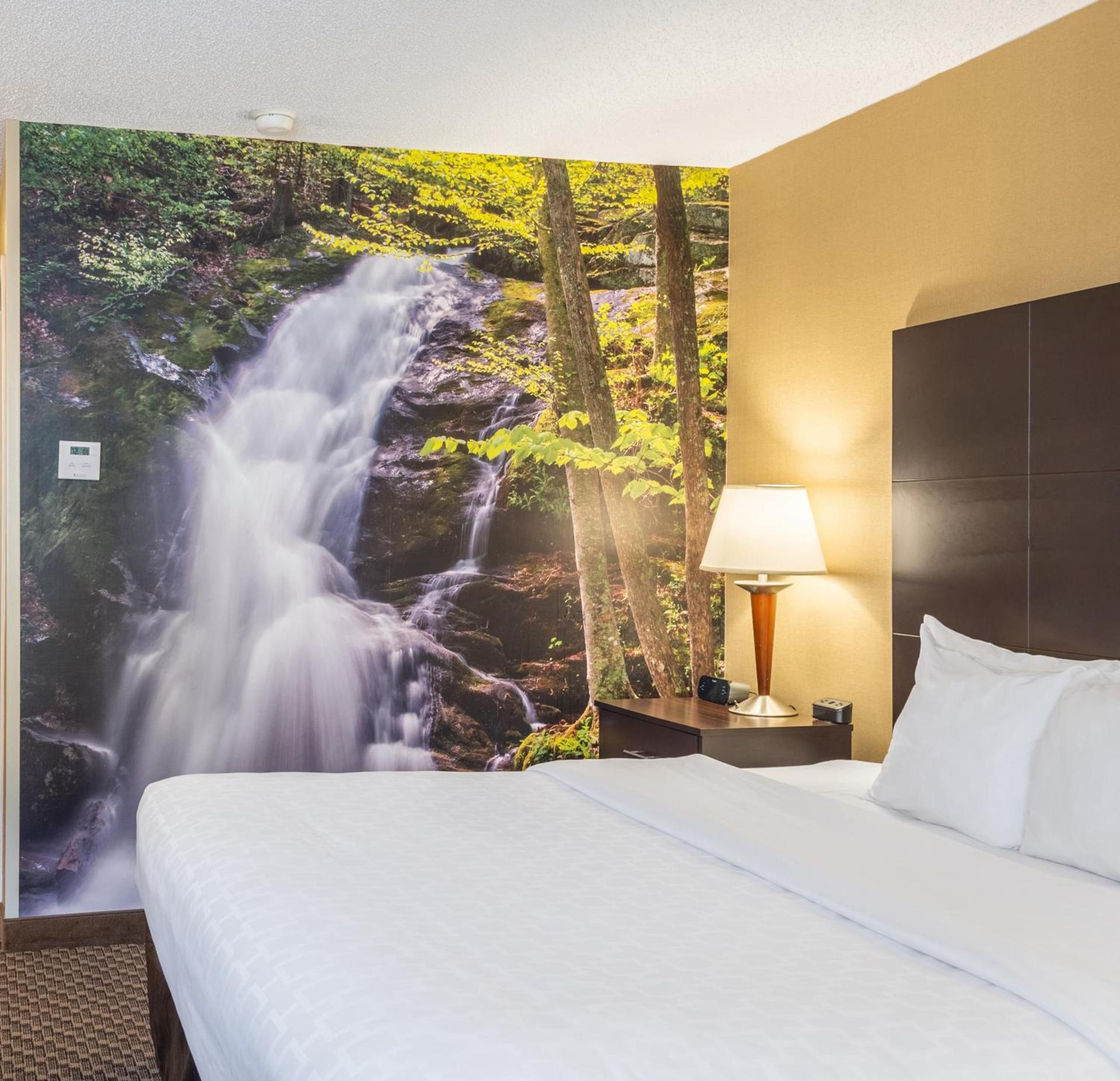 Clarion Pointe Harrisonburg photo 50