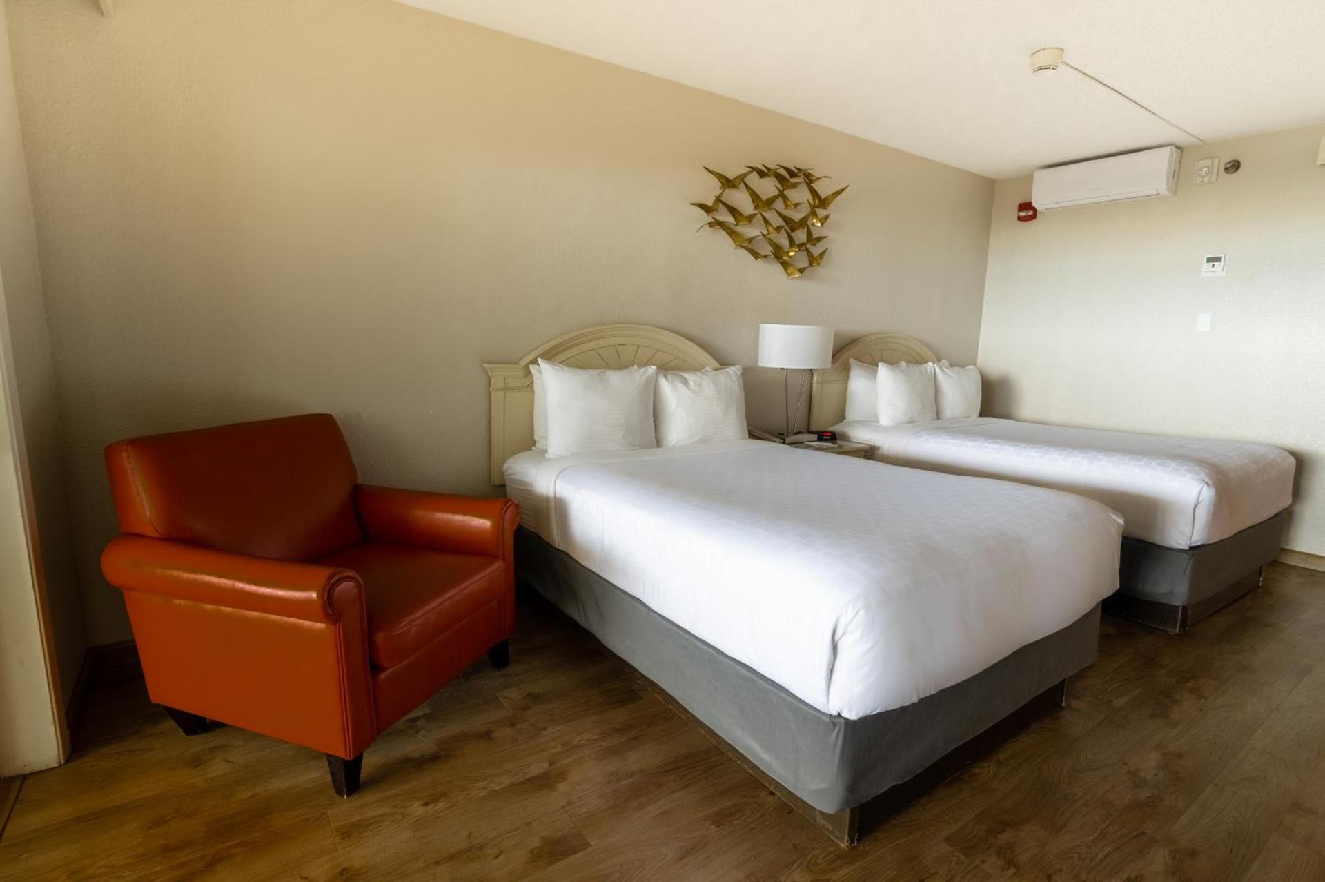 Emerald Beach Hotel Corpus Christi photo 43