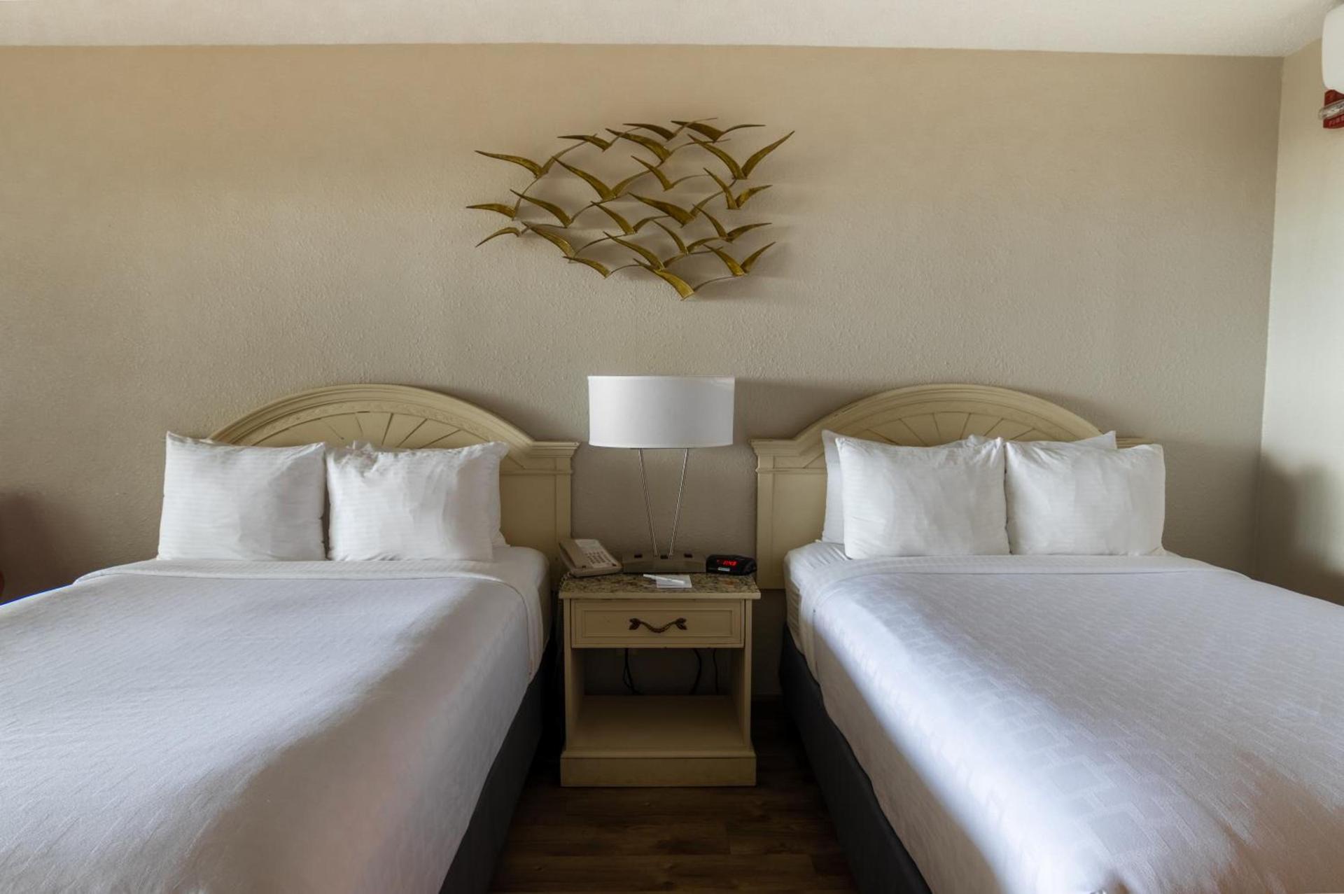 Emerald Beach Hotel Corpus Christi photo 41