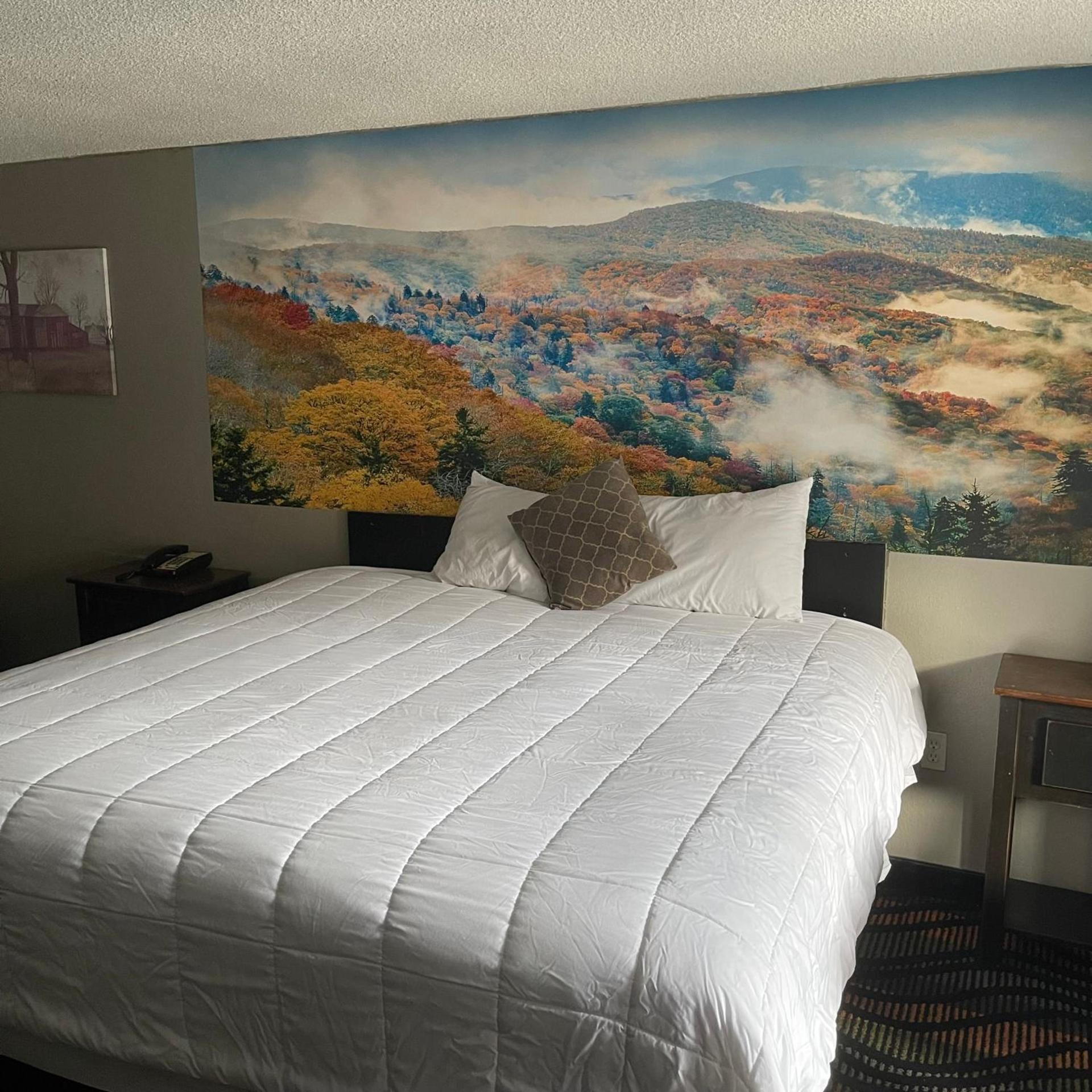 Country Town N' Suites photo 42