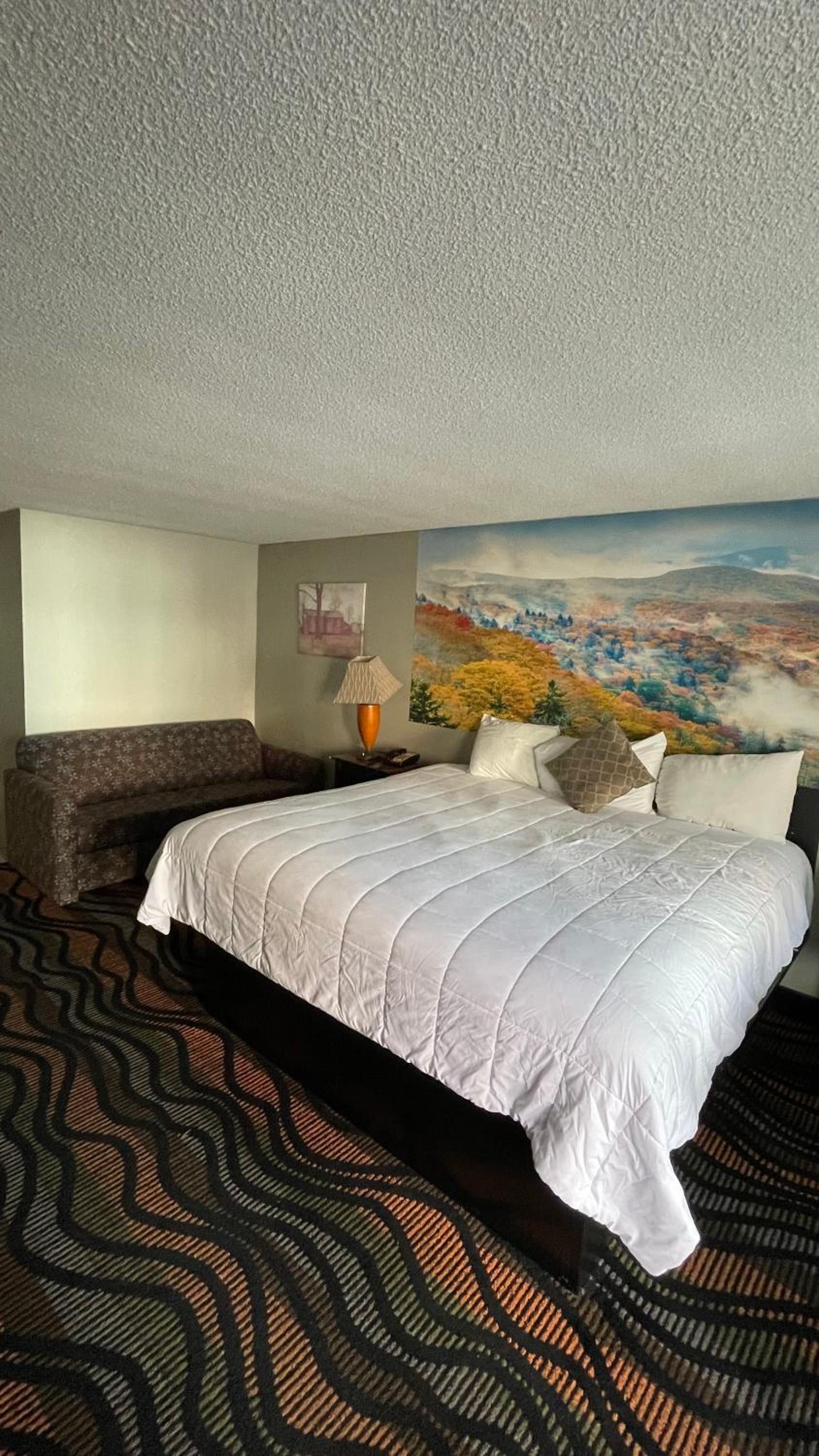 Country Town N' Suites photo 44