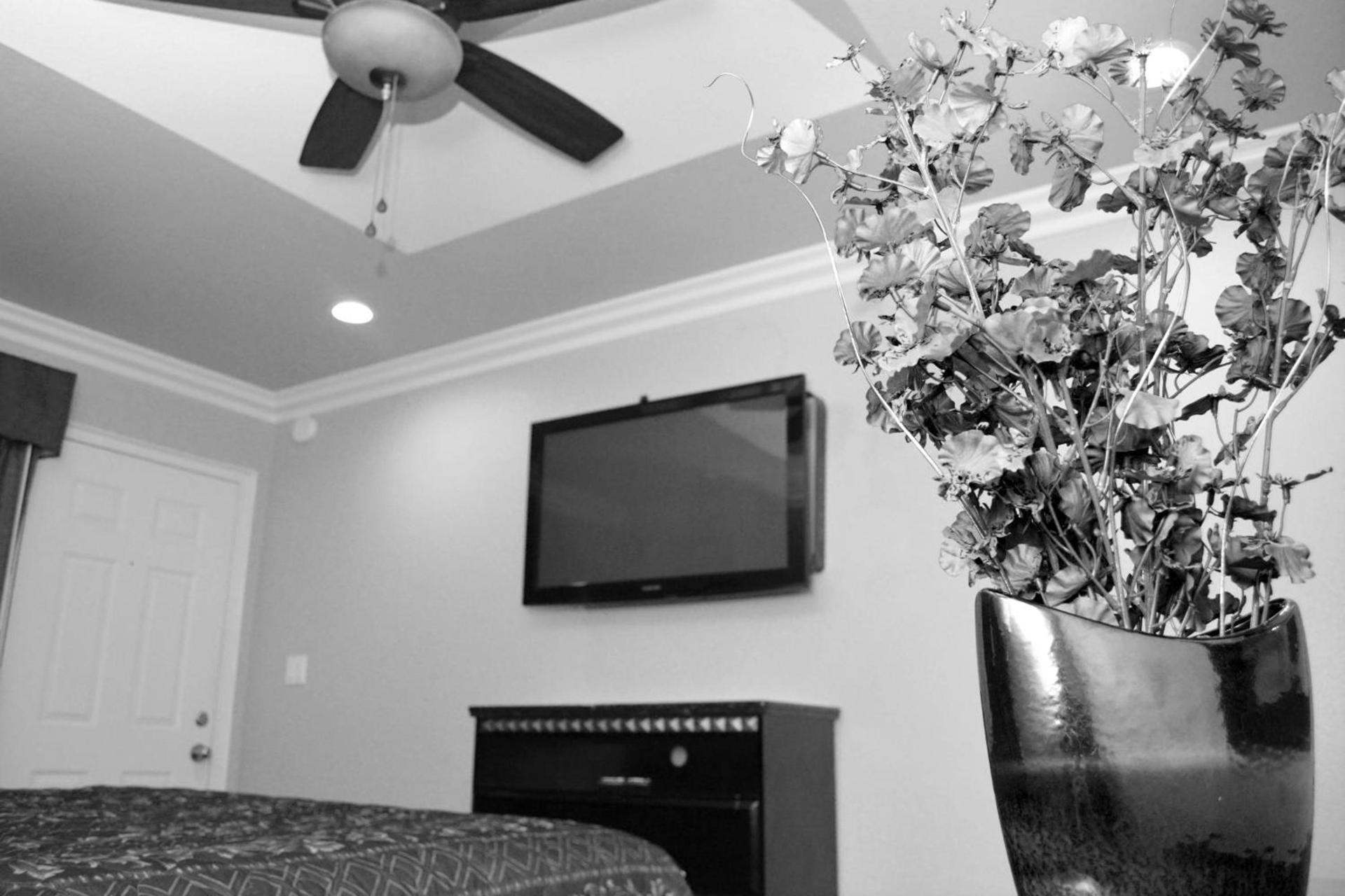 Crystal Lodge Motel photo 44
